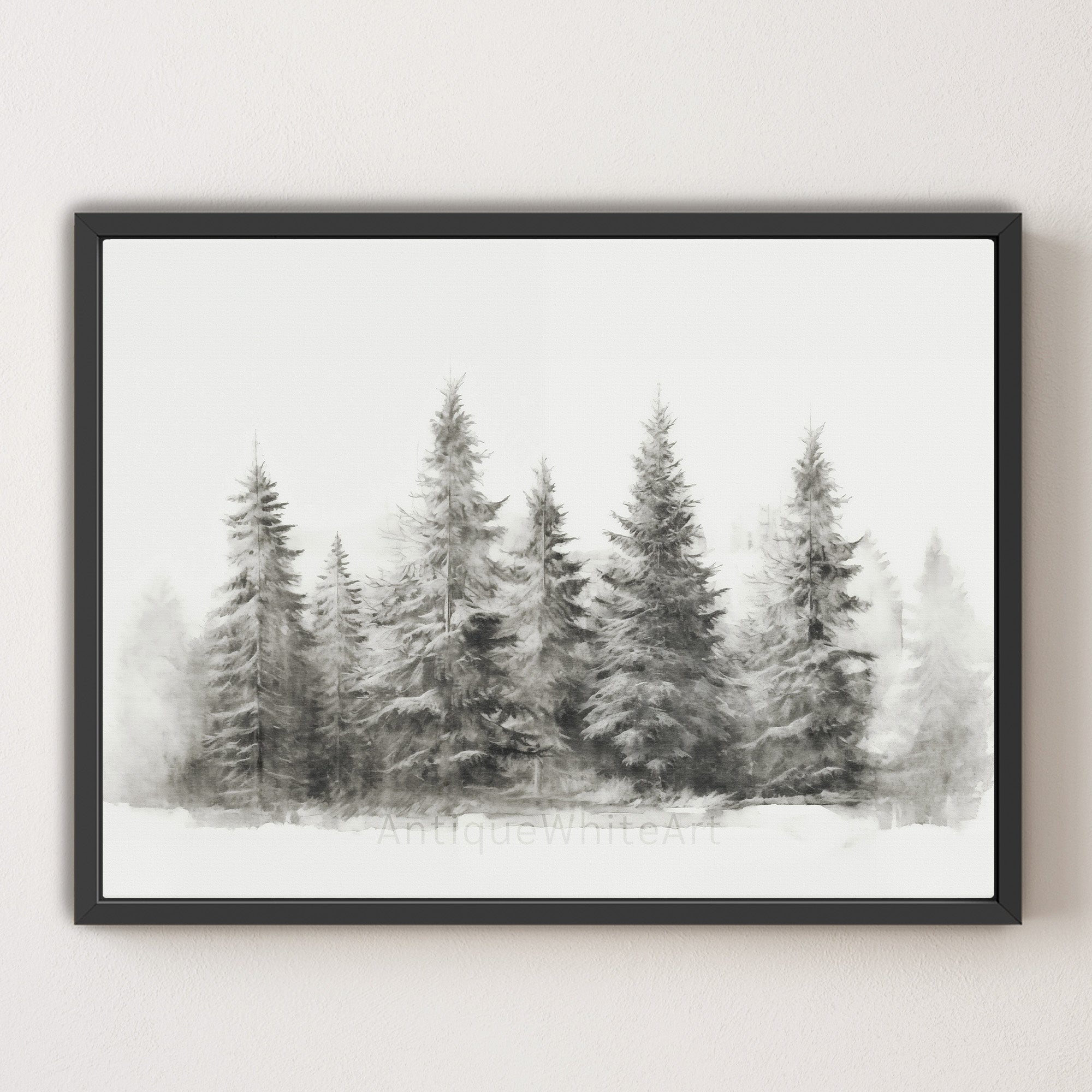 Wintry Pine Sketch