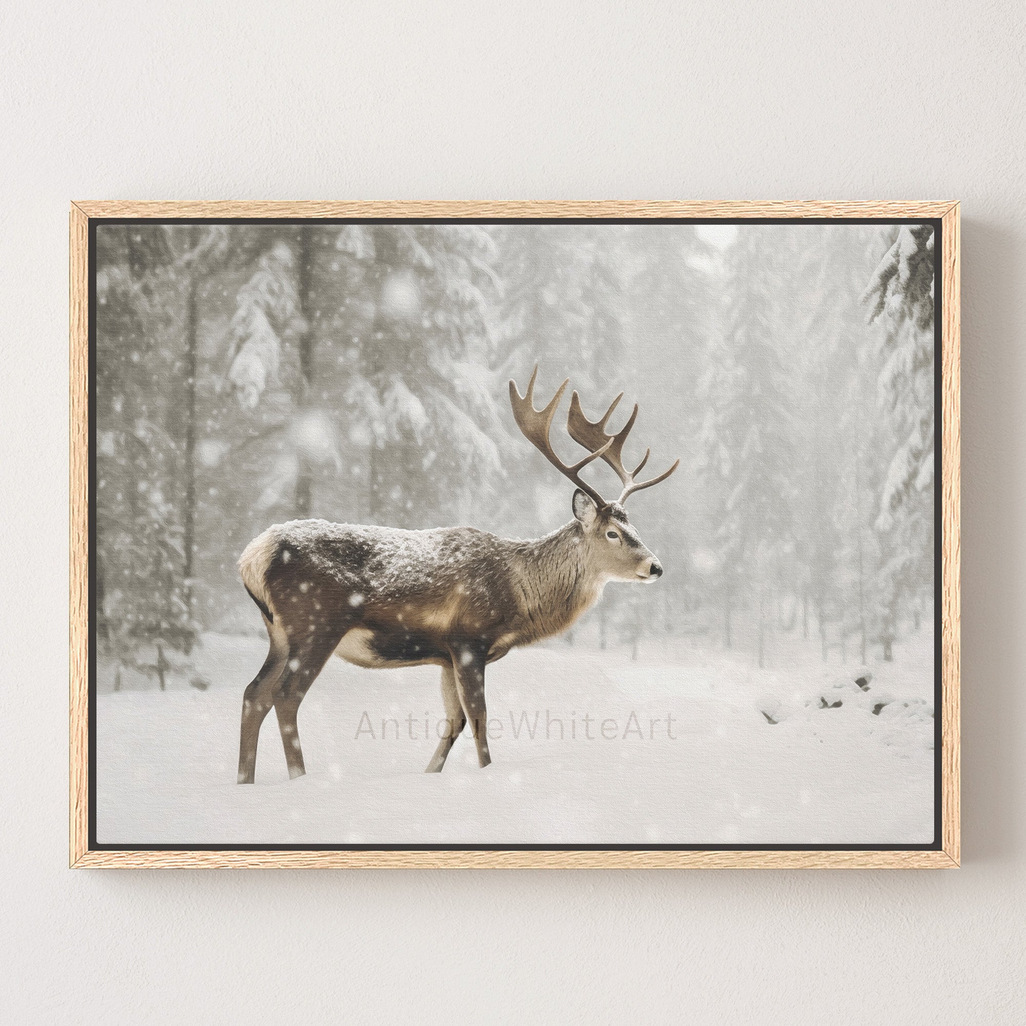 Reindeer in Snowy Forest