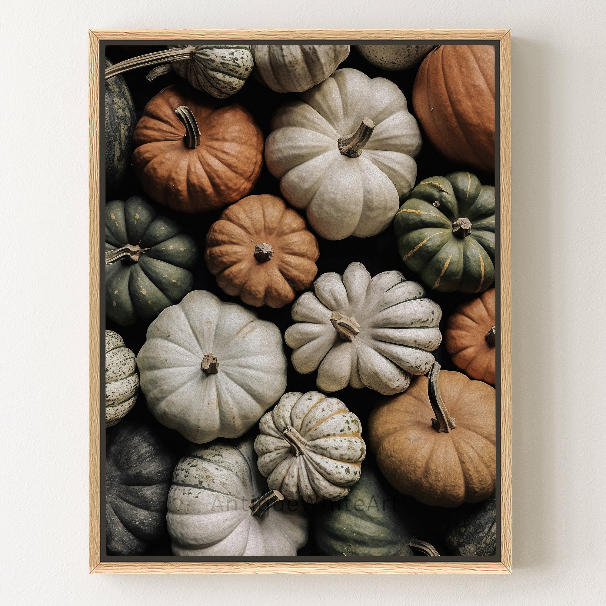 Autumn Pumpkins