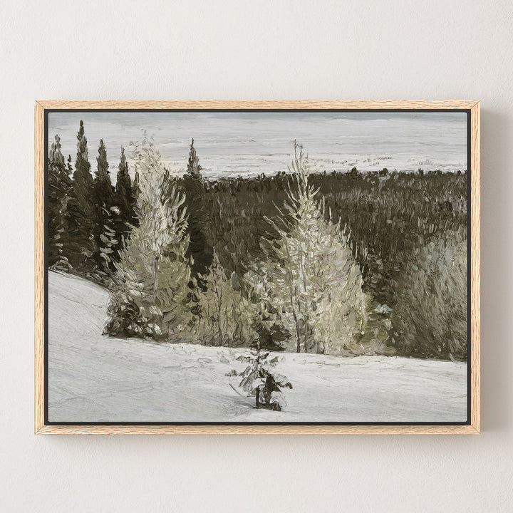Snowy Forest on a Hillside