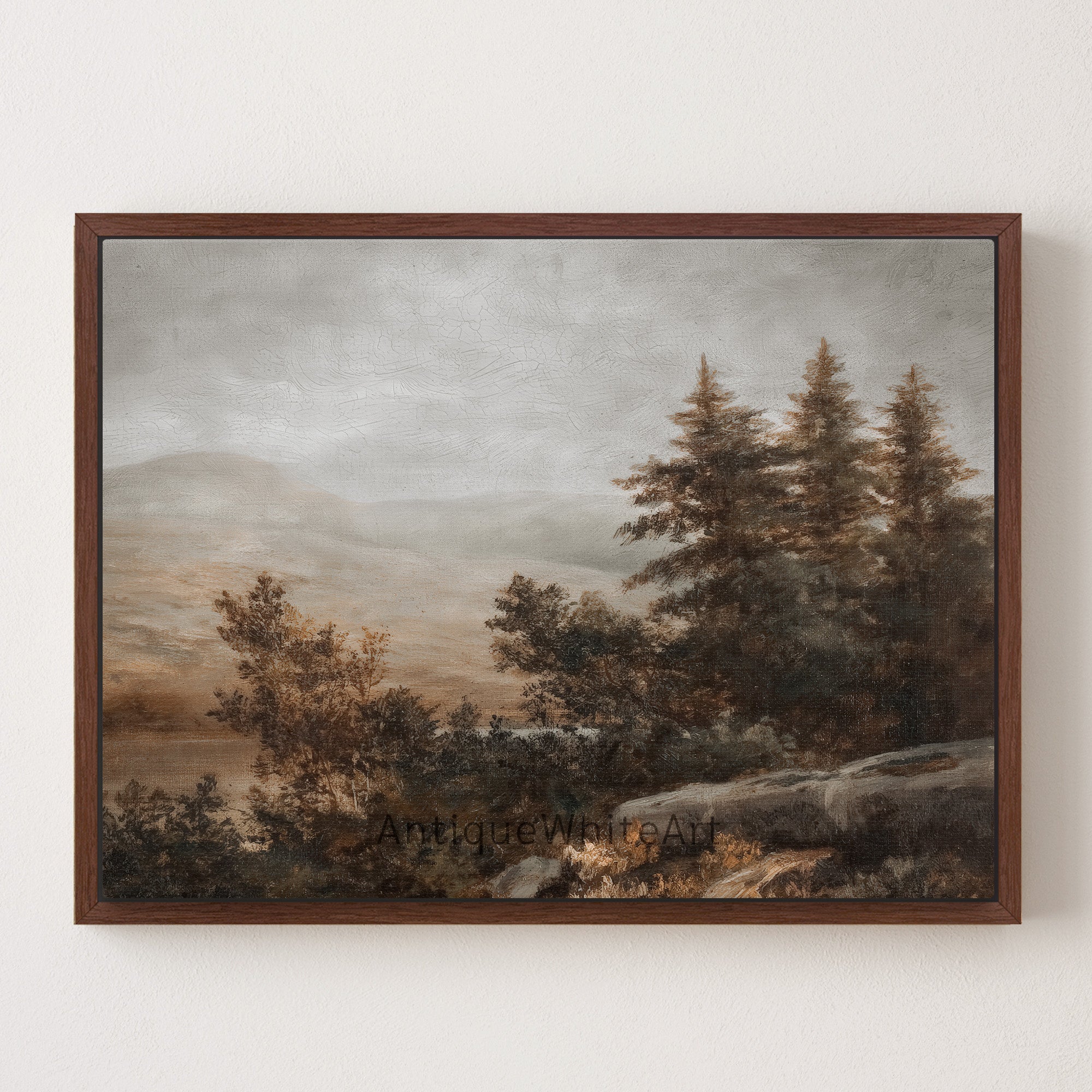 Pine Trees in Autumn