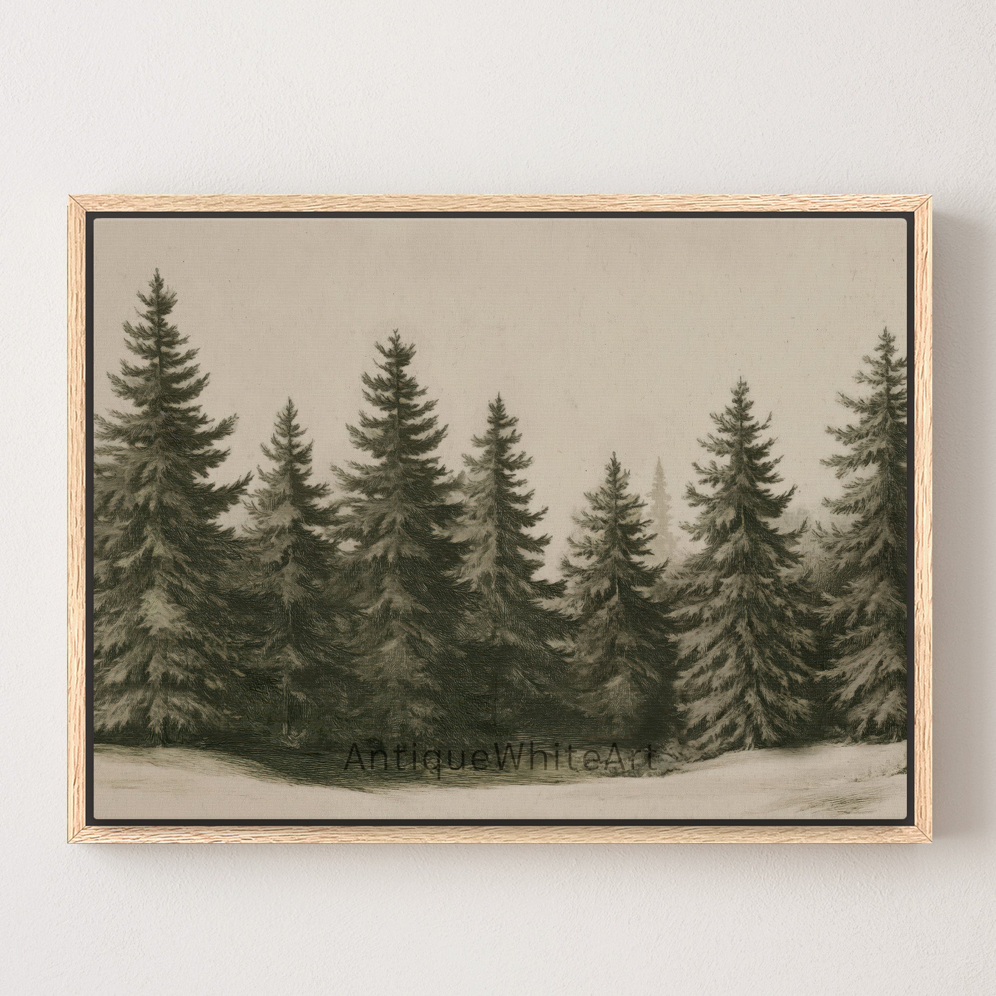 Winter Pine Forest