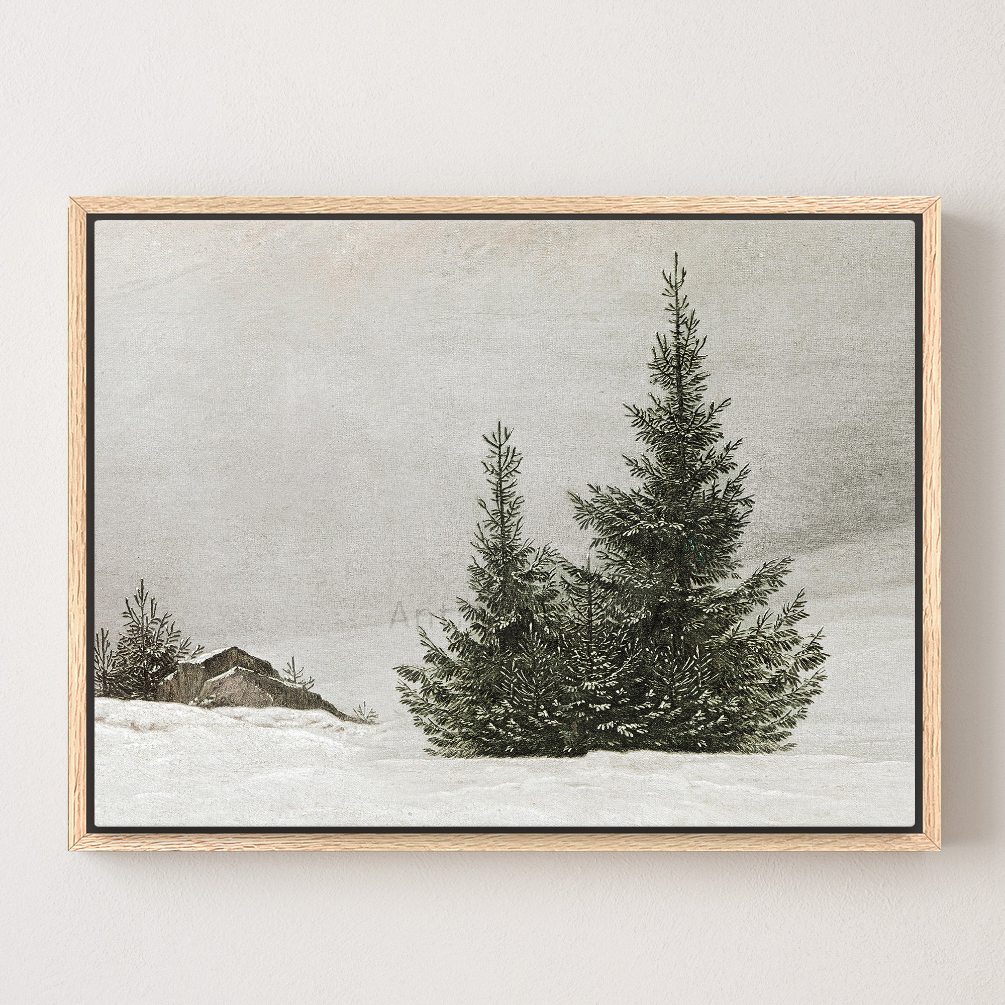 Snowy Pine Trees in Fog