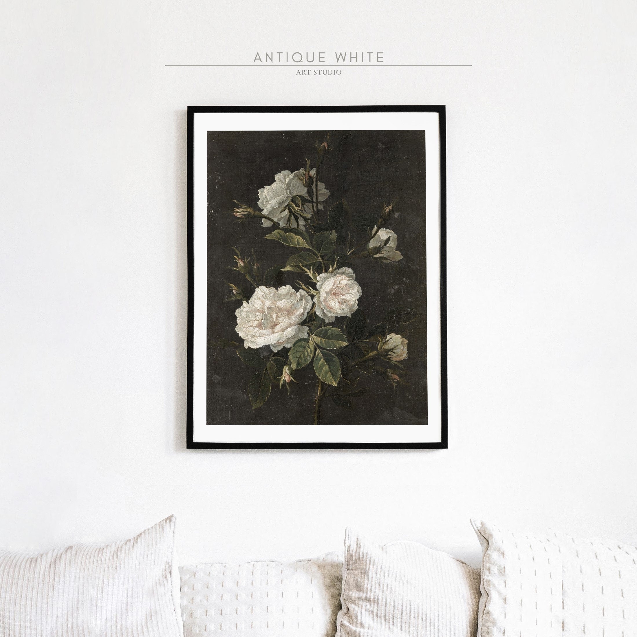 White Roses Against Black