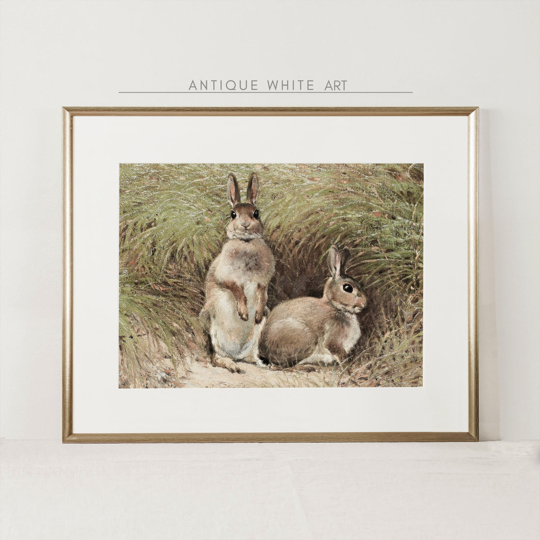 Bunnies in the Field