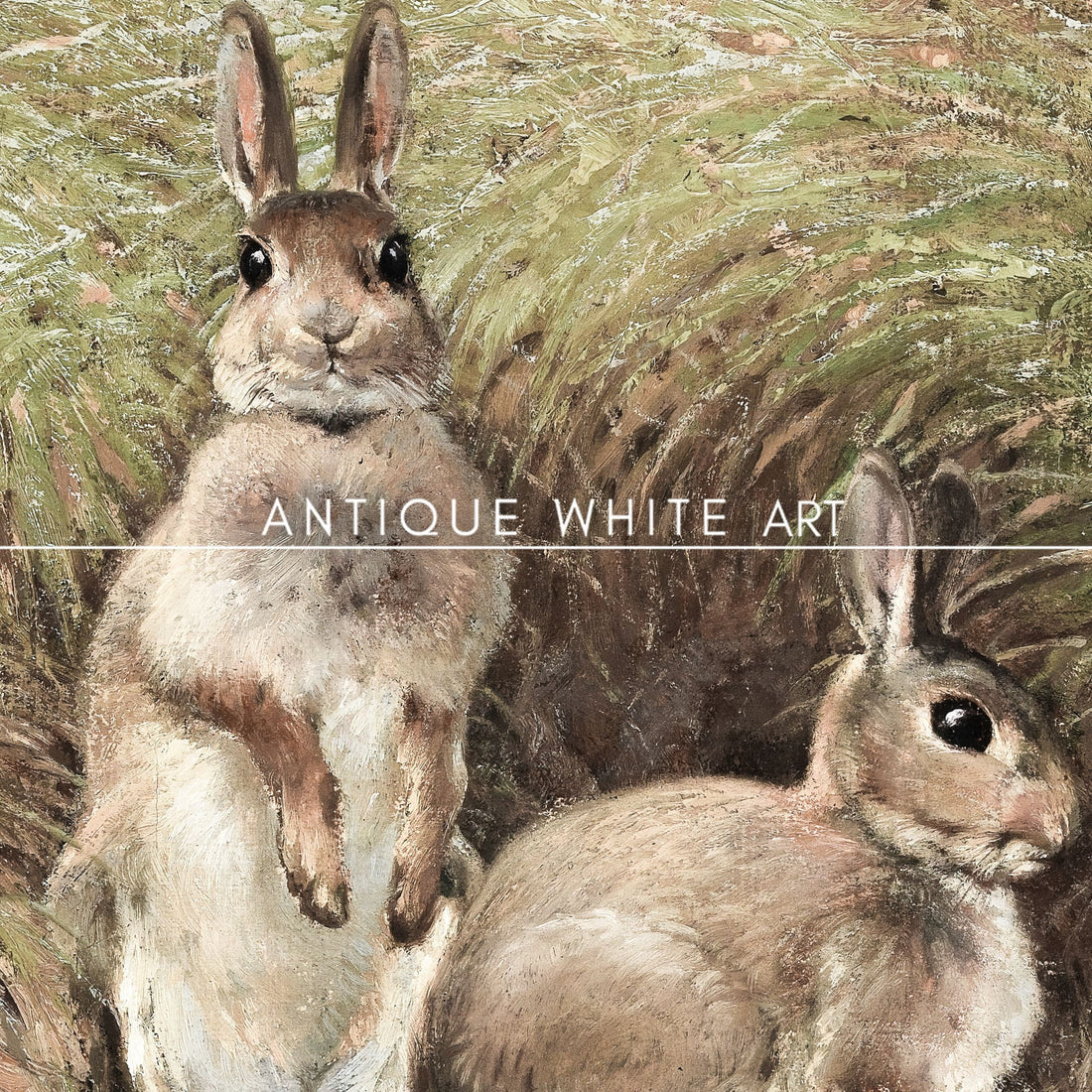 Bunnies in the Field
