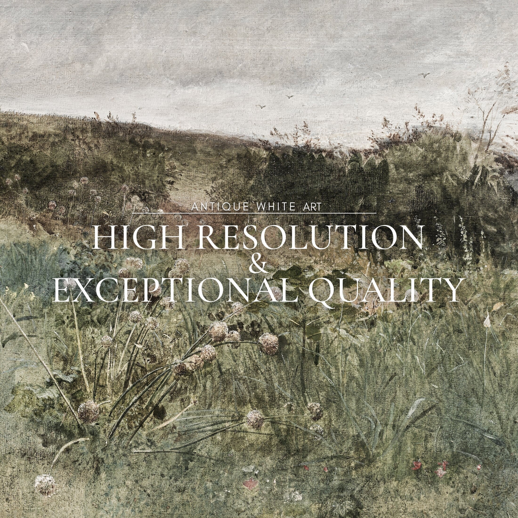 Wildflowers on a Hillside