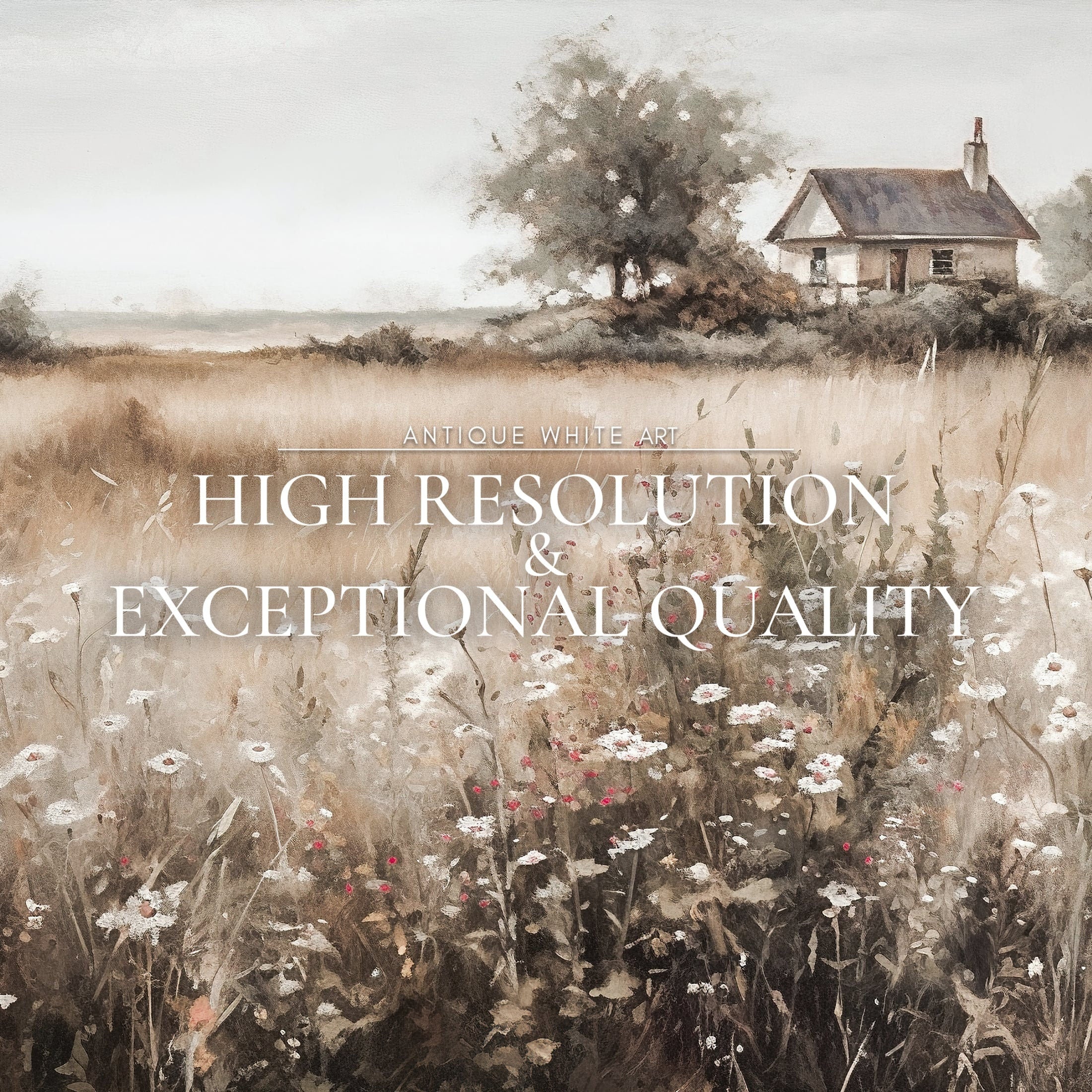 Cottage with Wildflowers