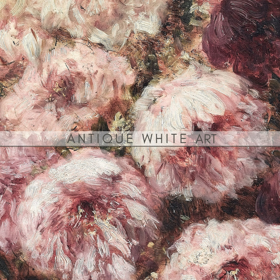 Pink Peony Bloom