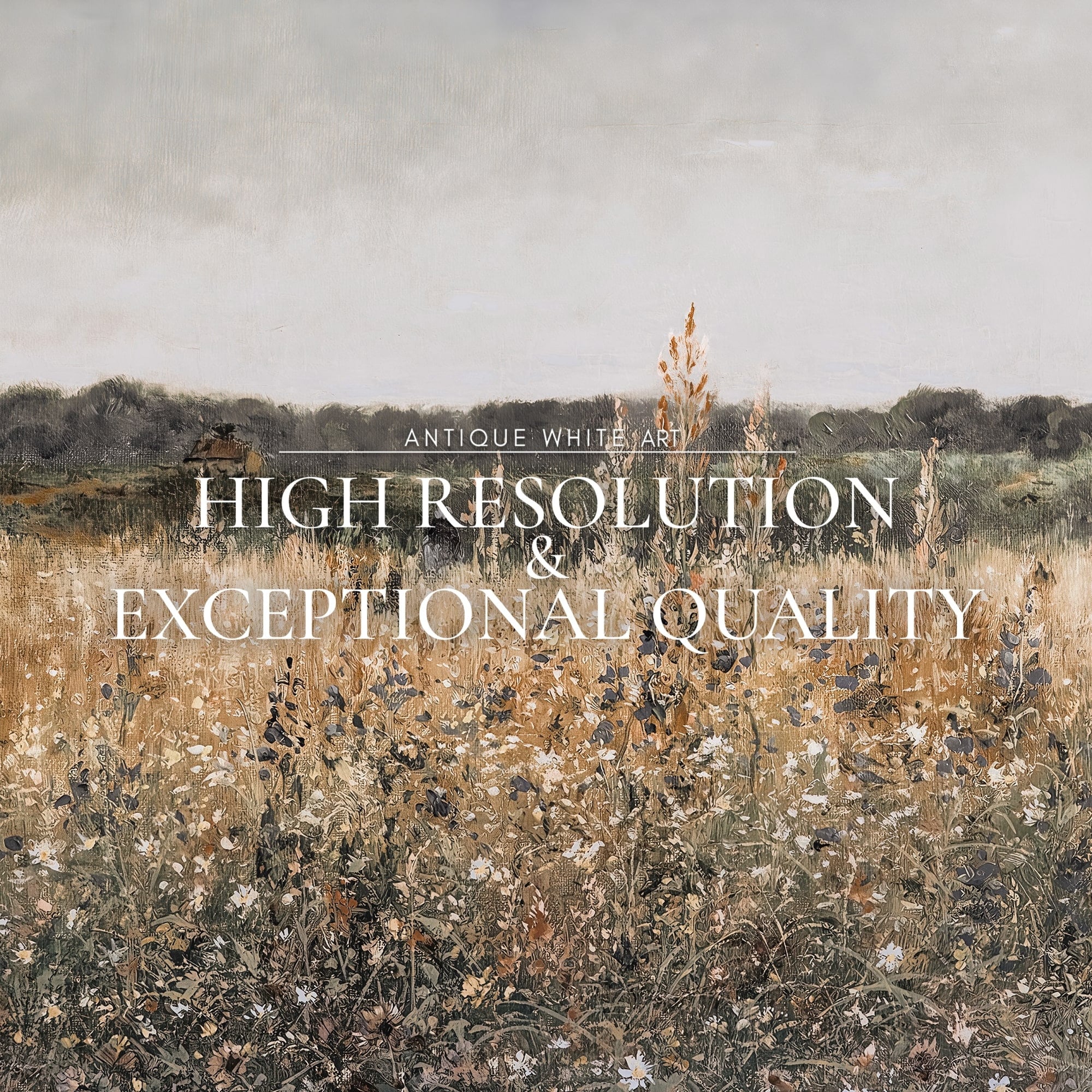 Golden Wildflower Field