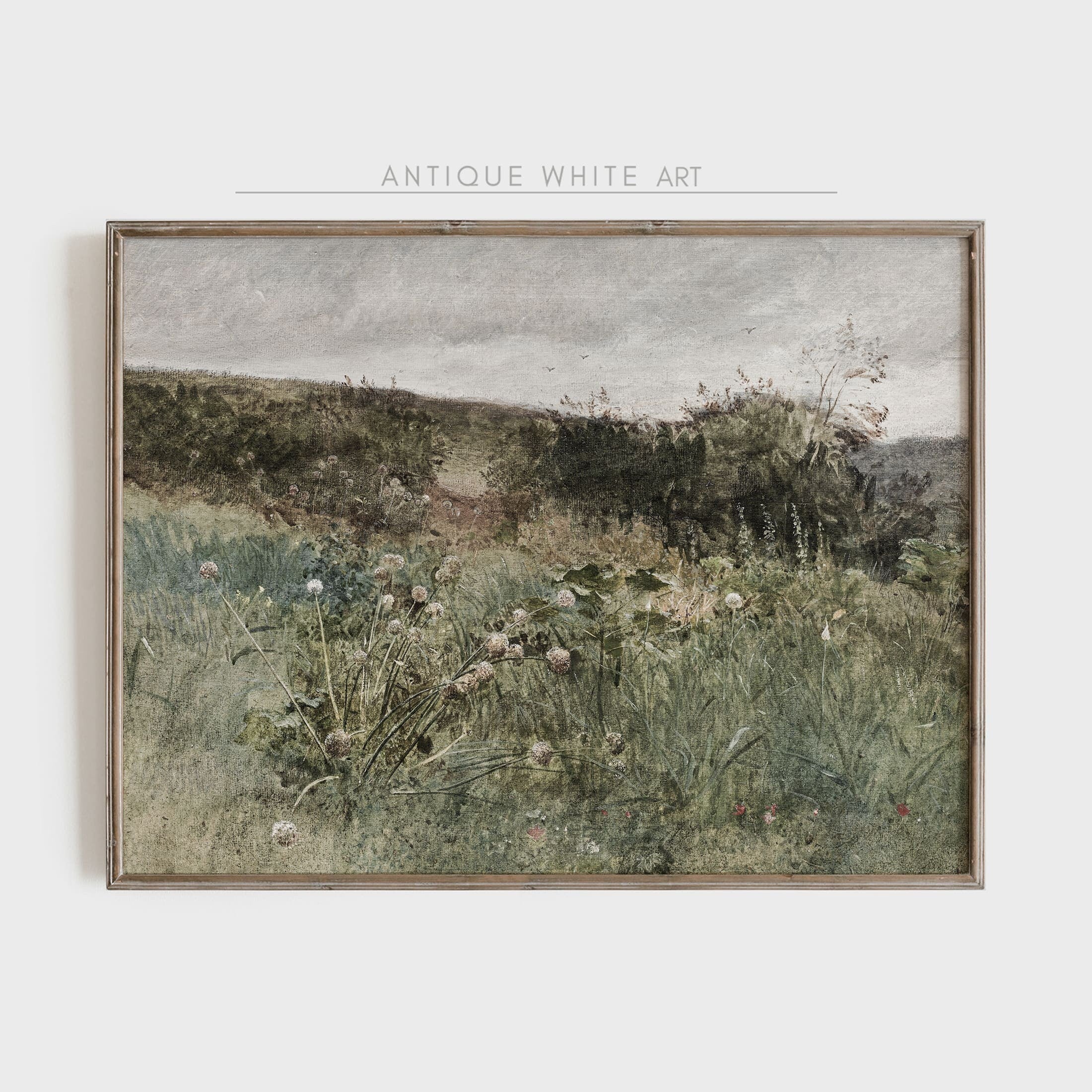 Wildflowers on a Hillside