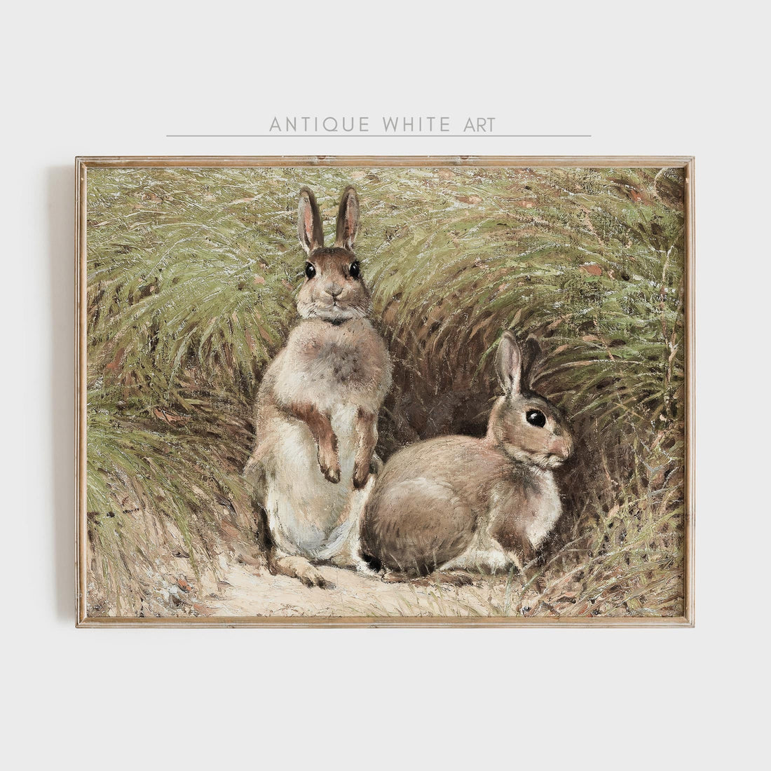 Bunnies in the Field
