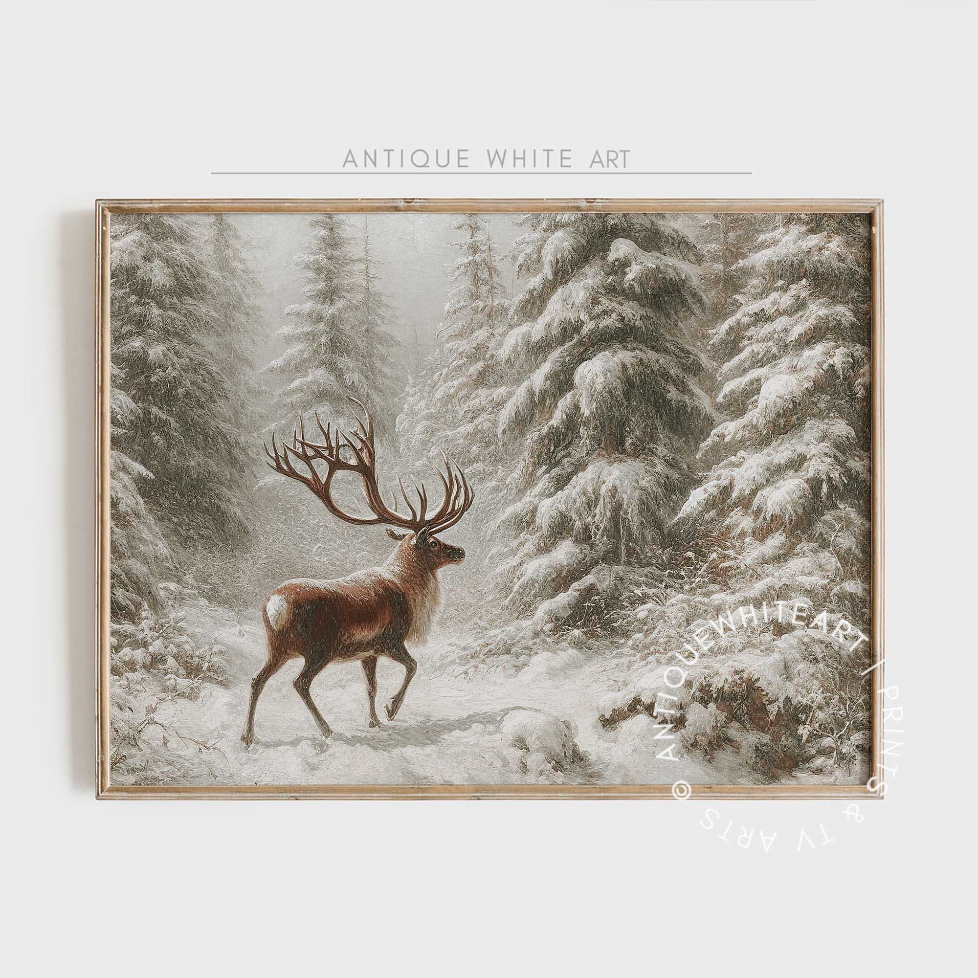 Deer in Winter Woodland
