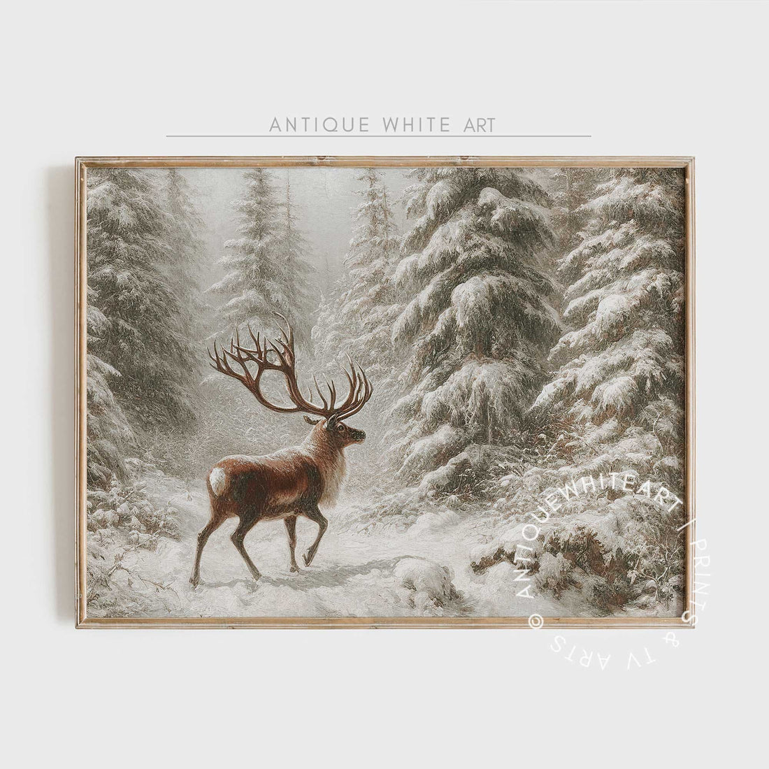 Deer in Winter Woodland