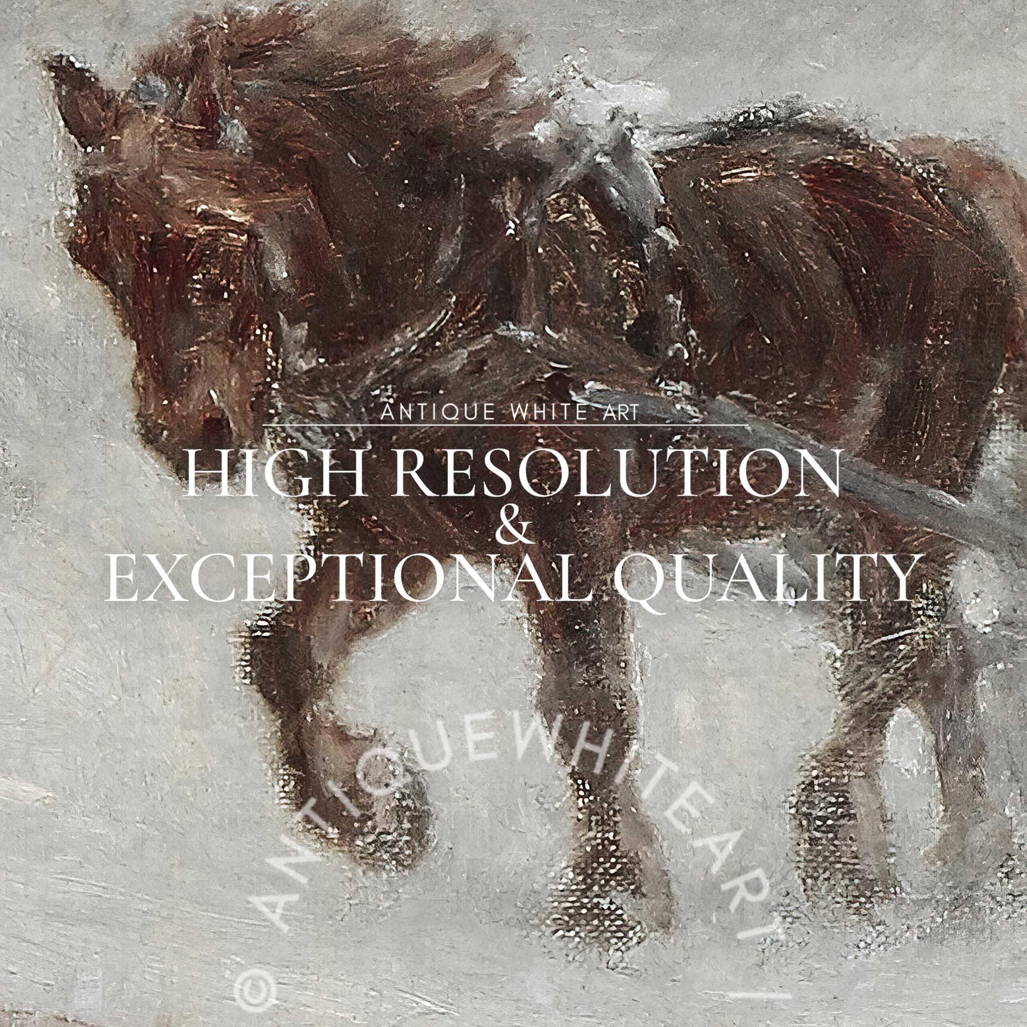 Through the Winter Storm