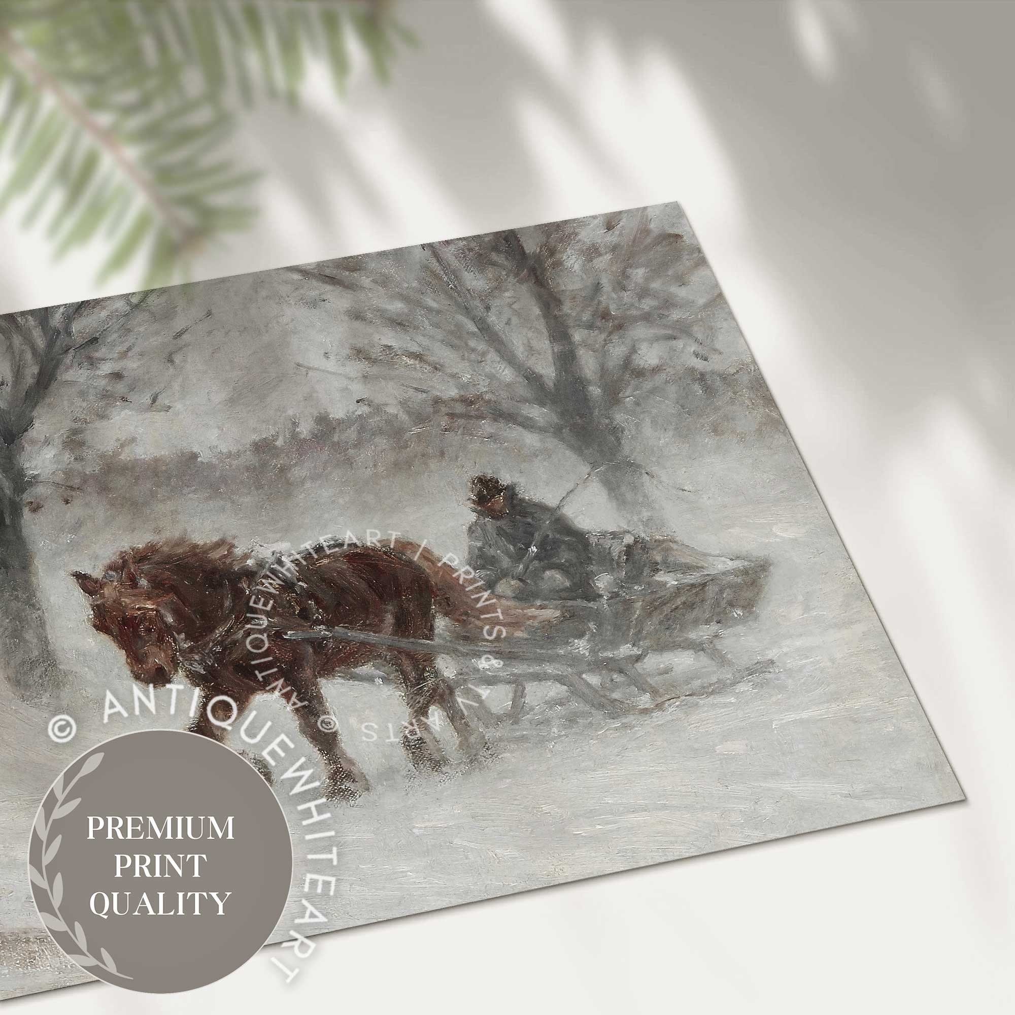 Through the Winter Storm