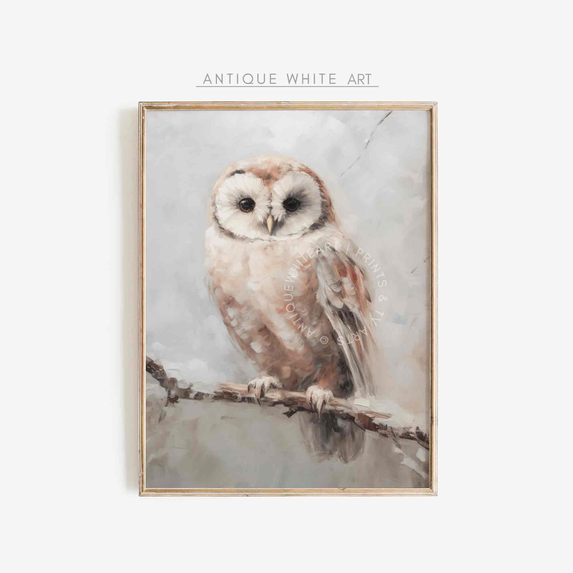 Owl Painting