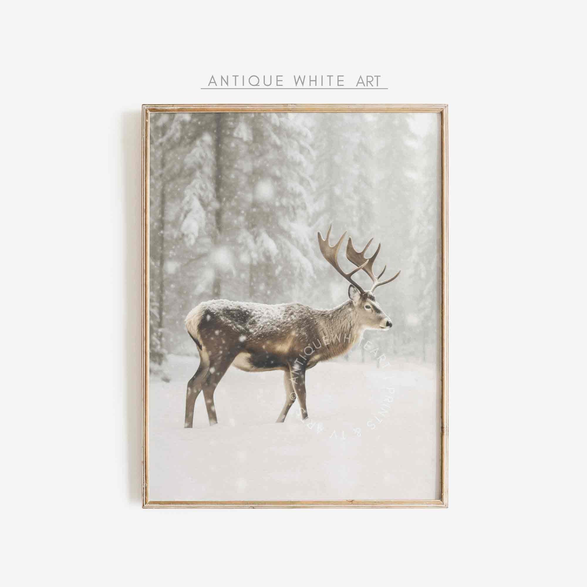 Deer in Winter Forest