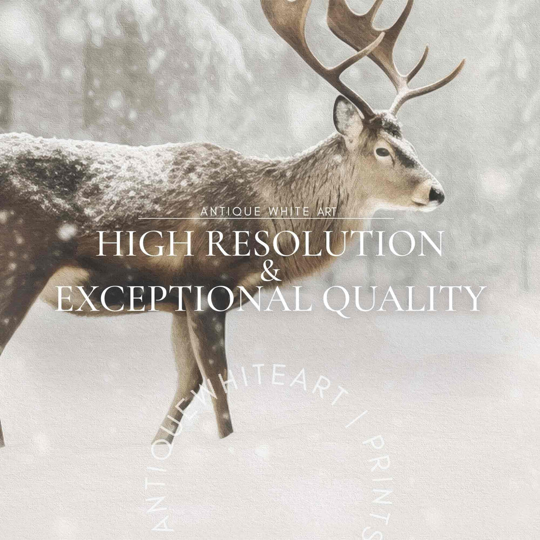 Deer in Winter Forest