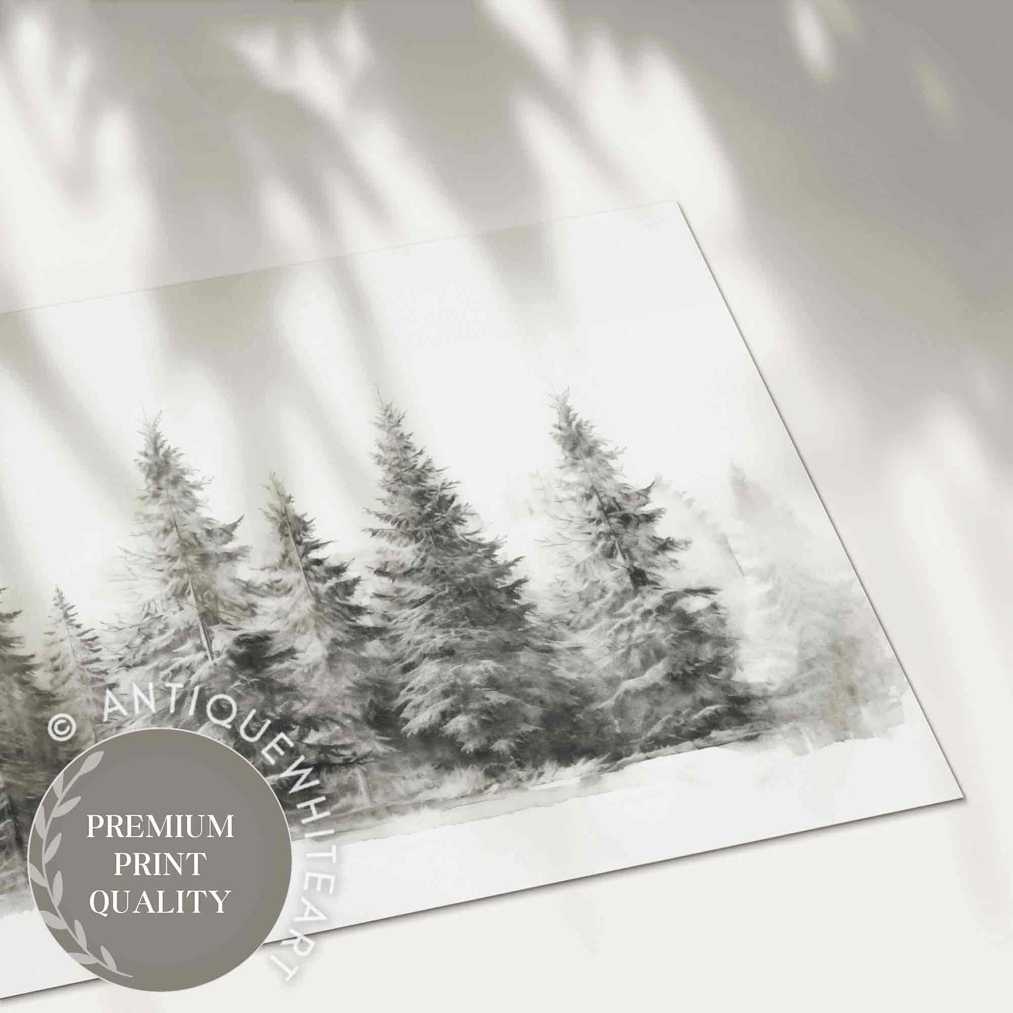 Wintry Pine Sketch