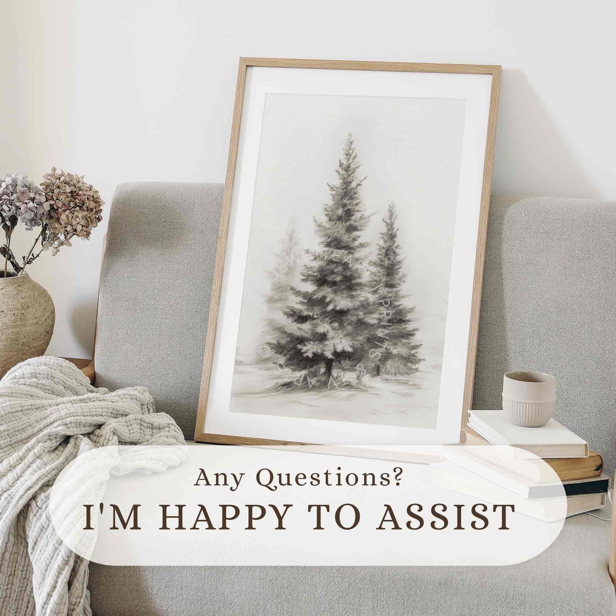 Pine Trees in Quiet Winter