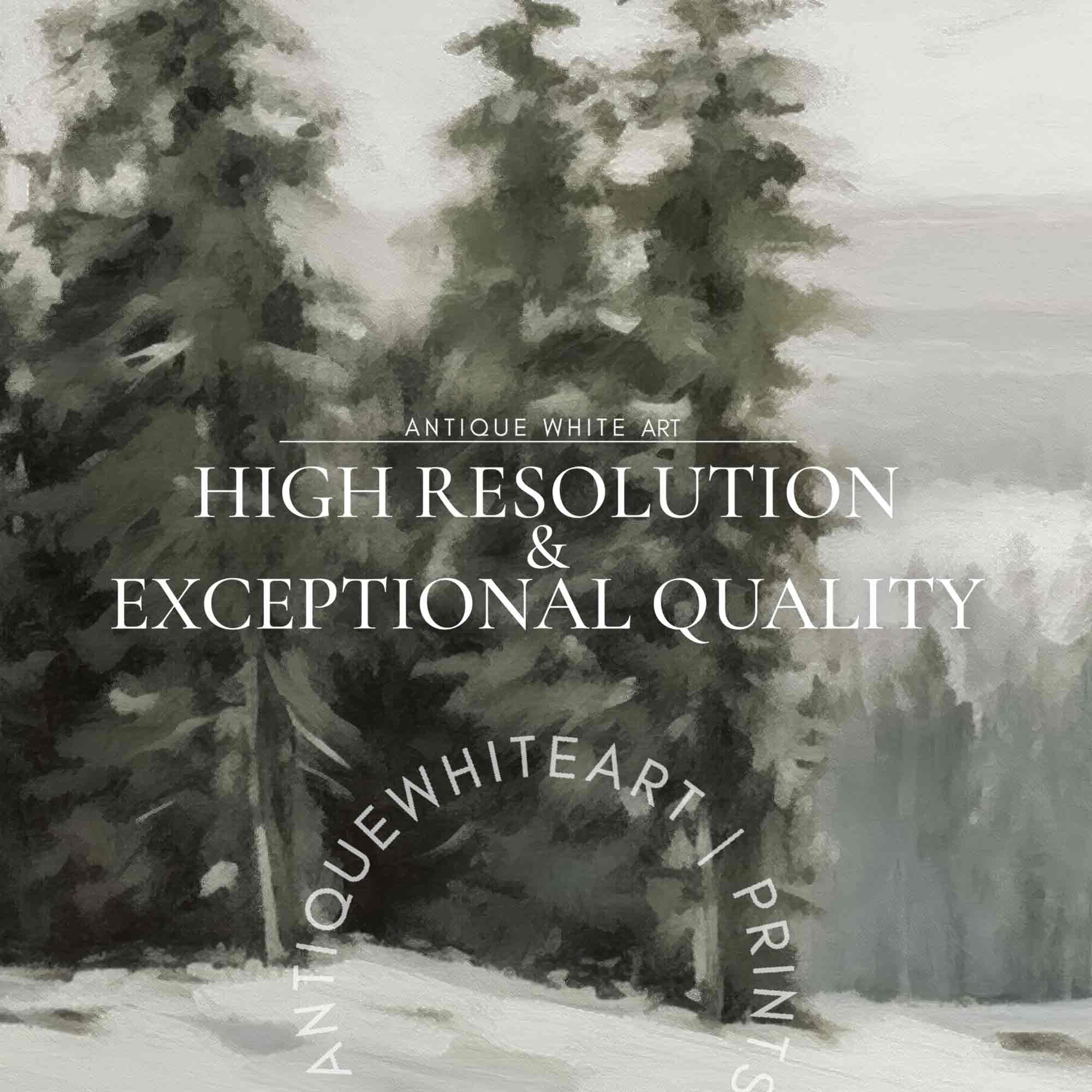 Pine Forest In Winter