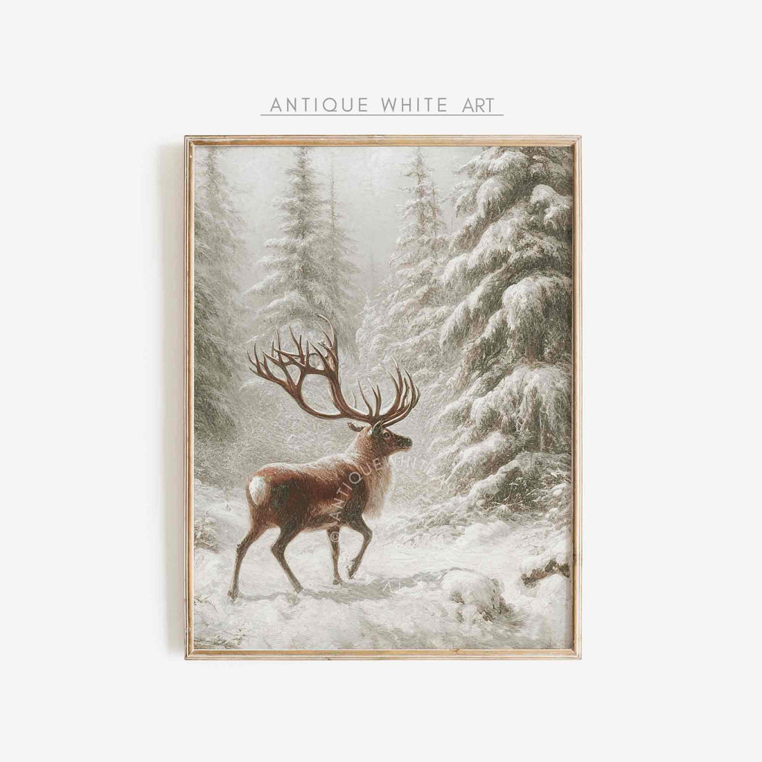 Deer in Winter Woodland