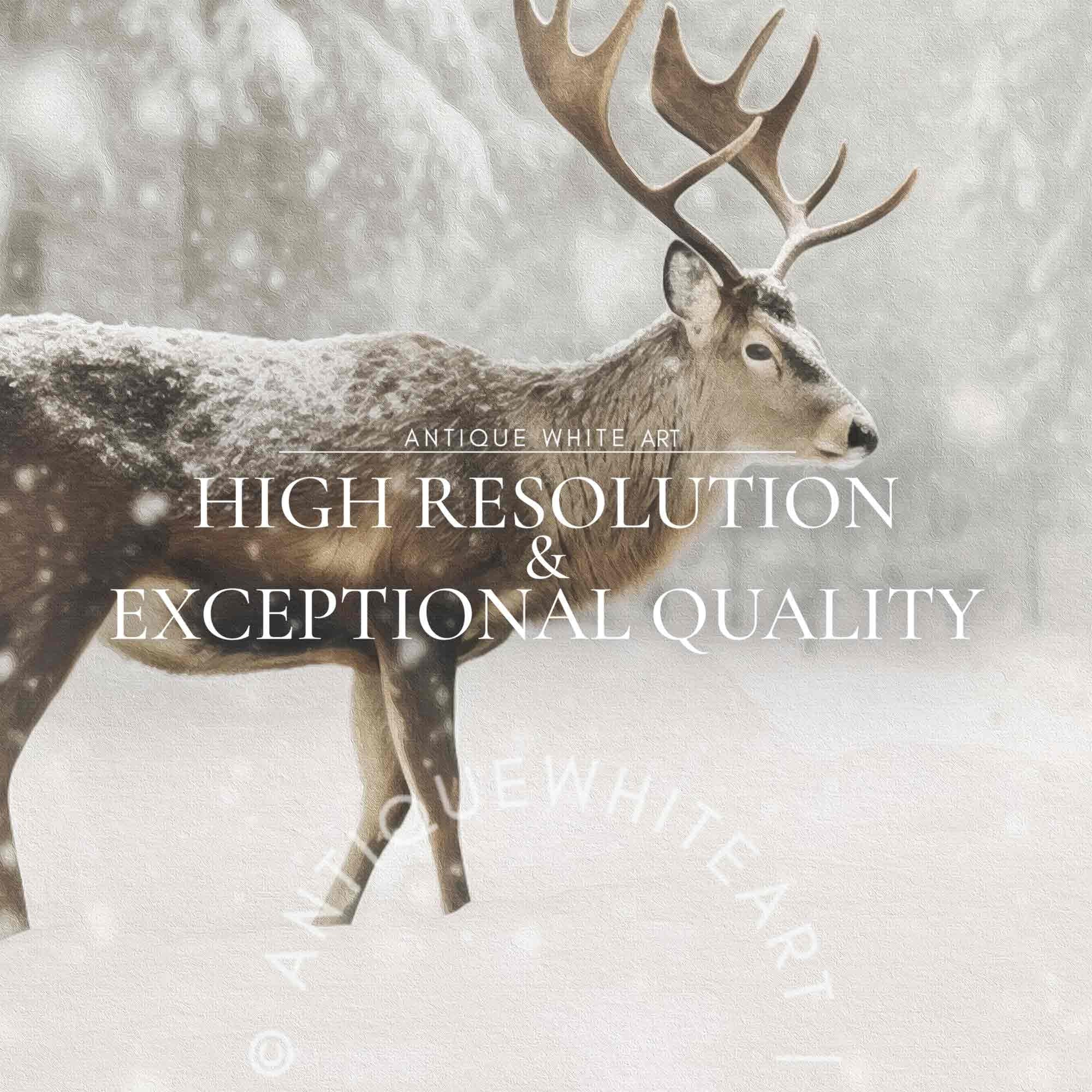 Reindeer in Snowy Forest