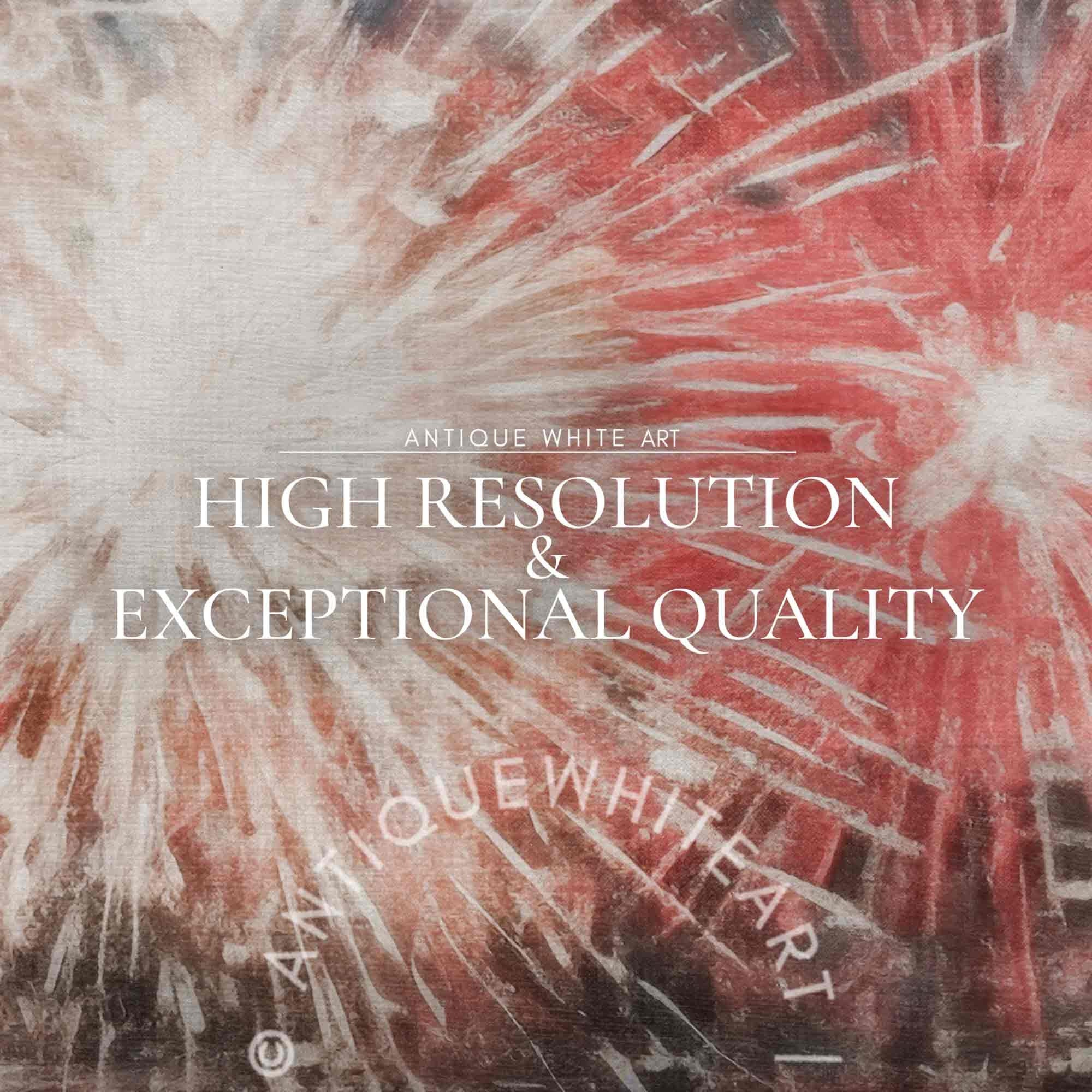 4th of July Fireworks