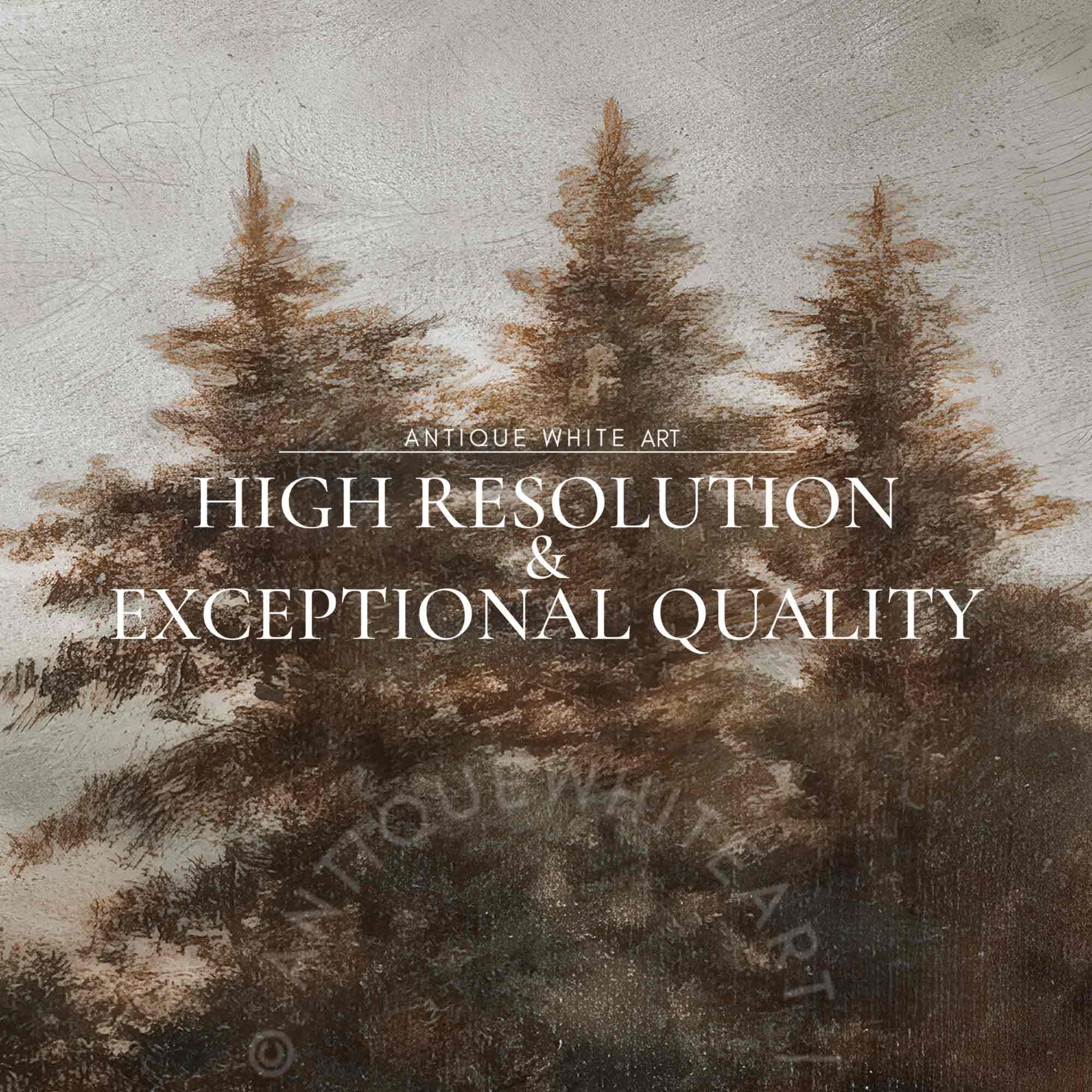 Pine Trees in Autumn