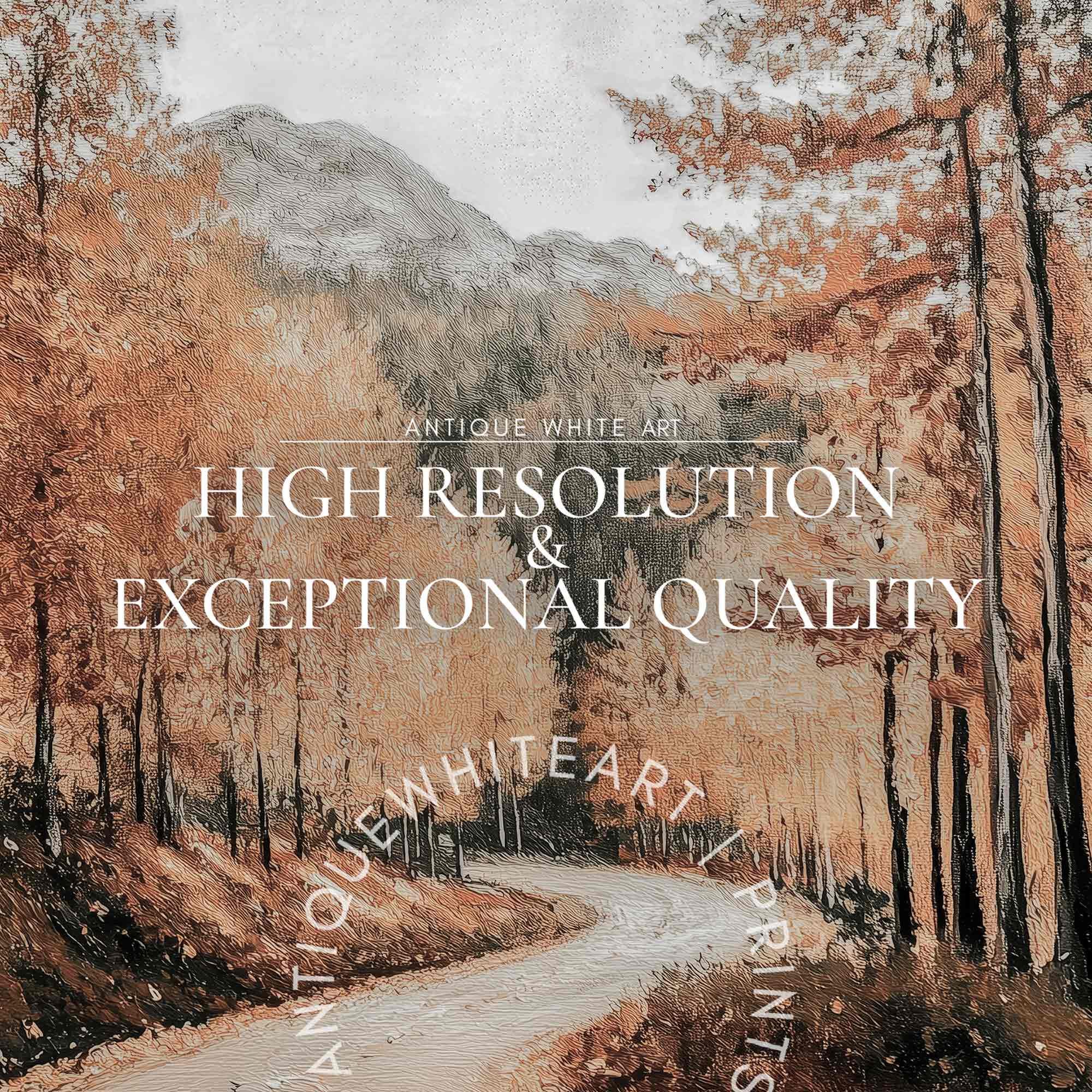 Road Through Fall Forest