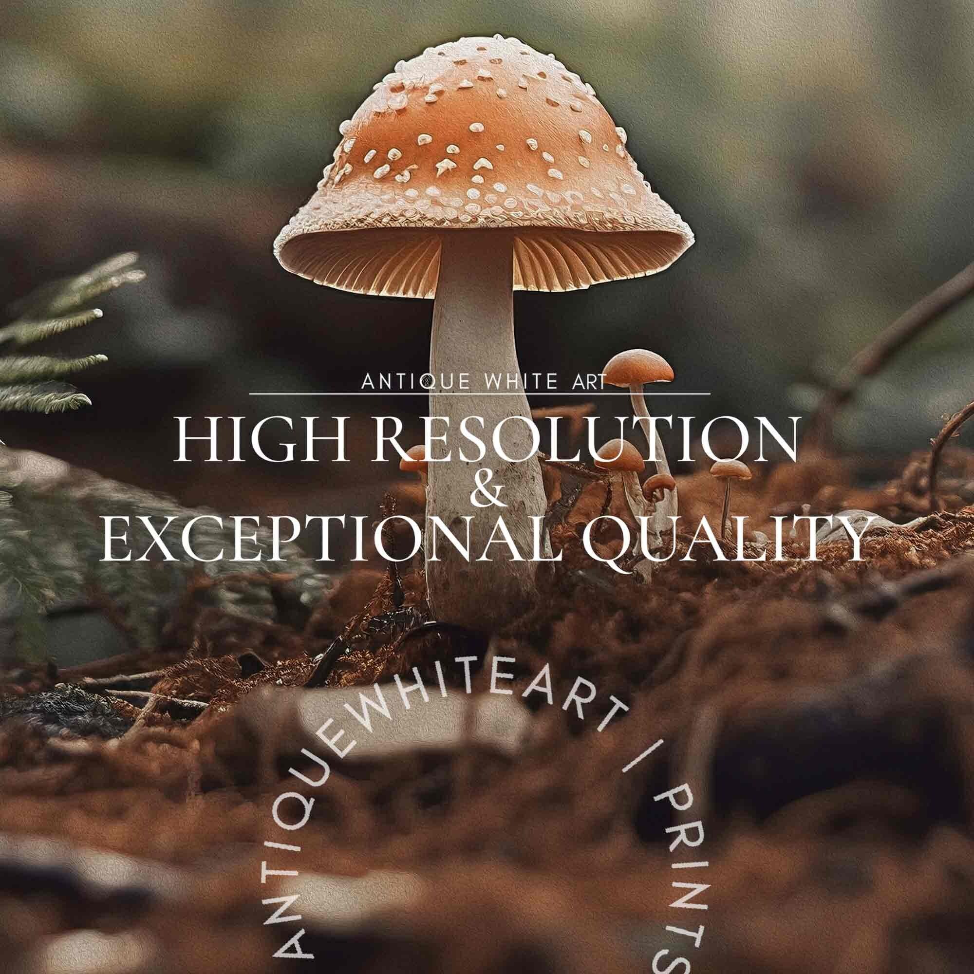 Mushroom in a Forest Glade