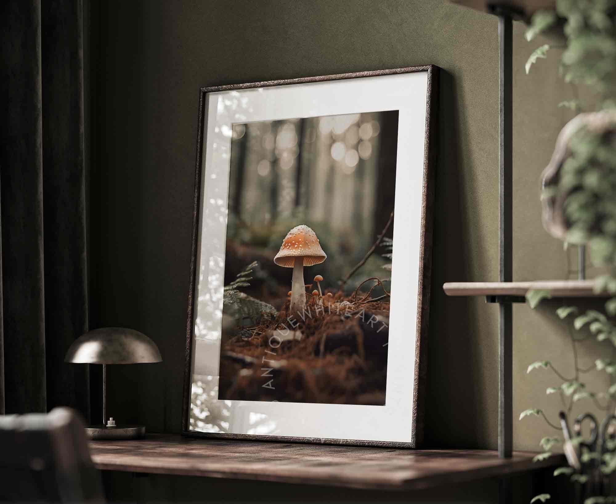 Mushroom in a Forest Glade