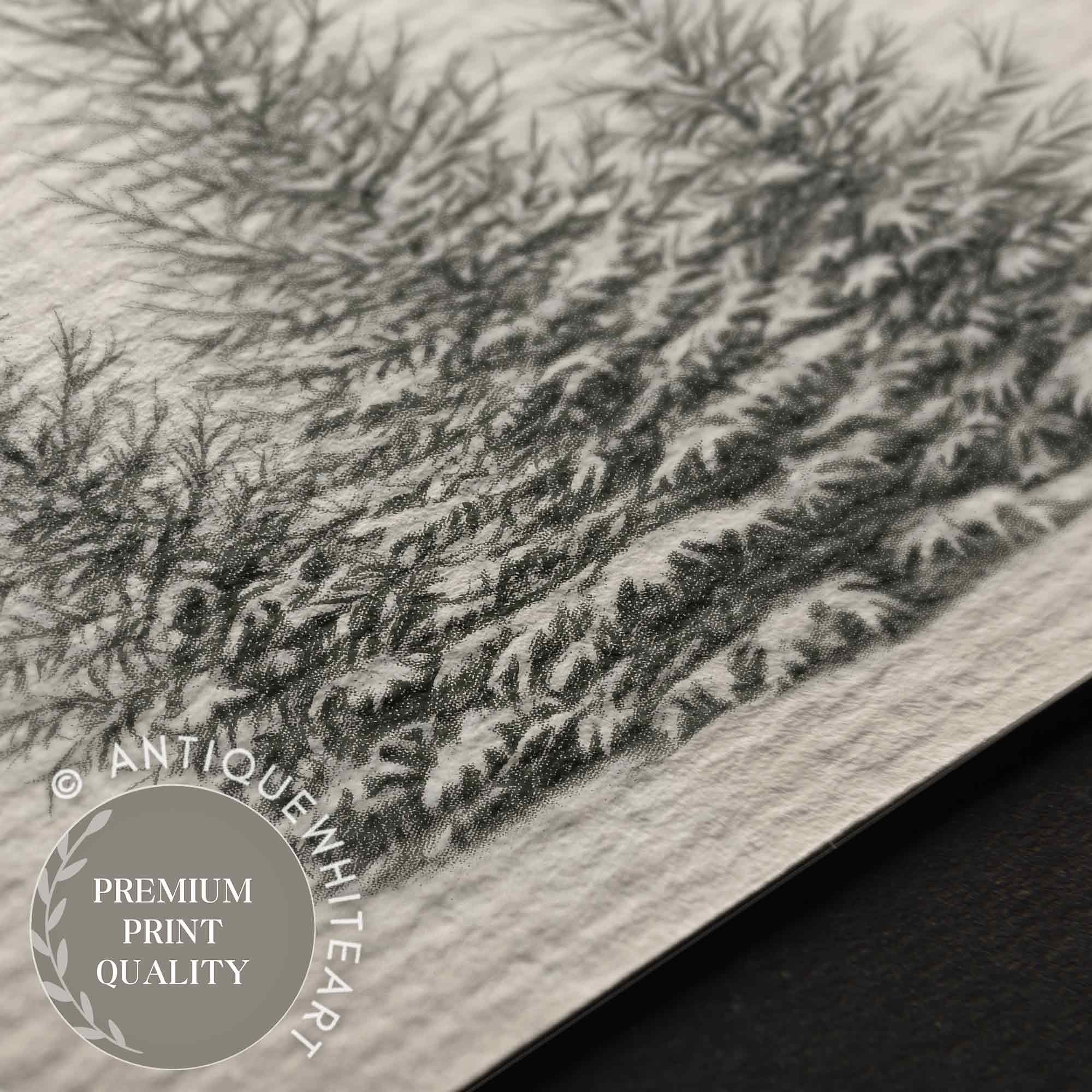 Forest Sketch Rustic Print Pine Trees Drawing Winter Art Country Christmas Decor W148 Wall