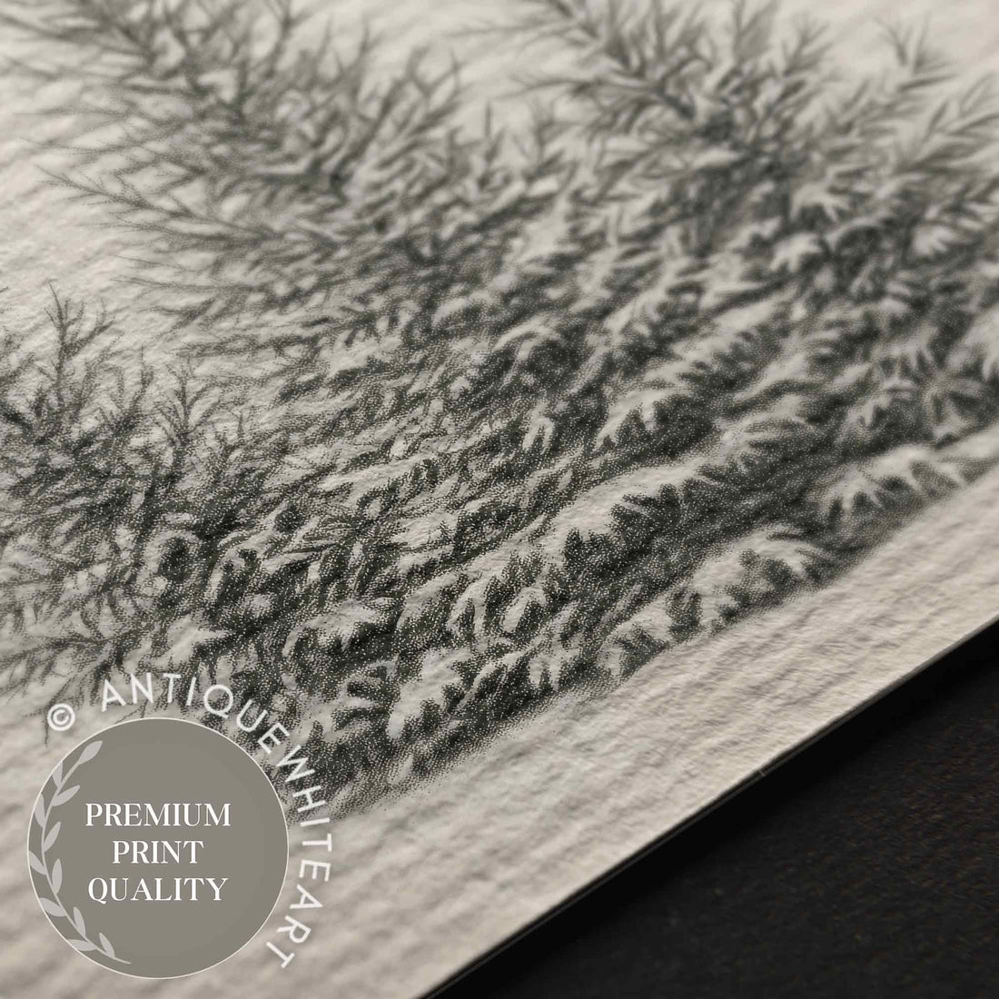 Forest Sketch Rustic Print Pine Trees Drawing Winter Art Country Christmas Decor W148 Wall