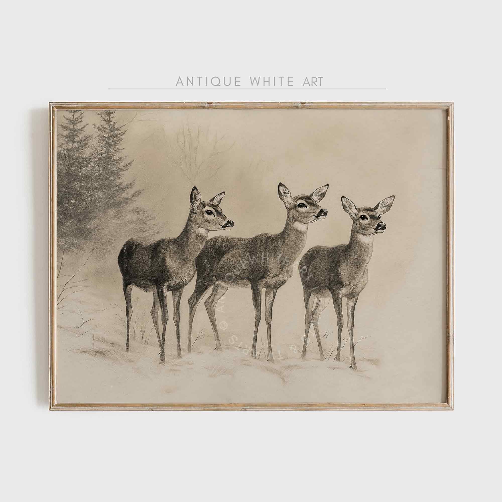 Three Deers in Winter