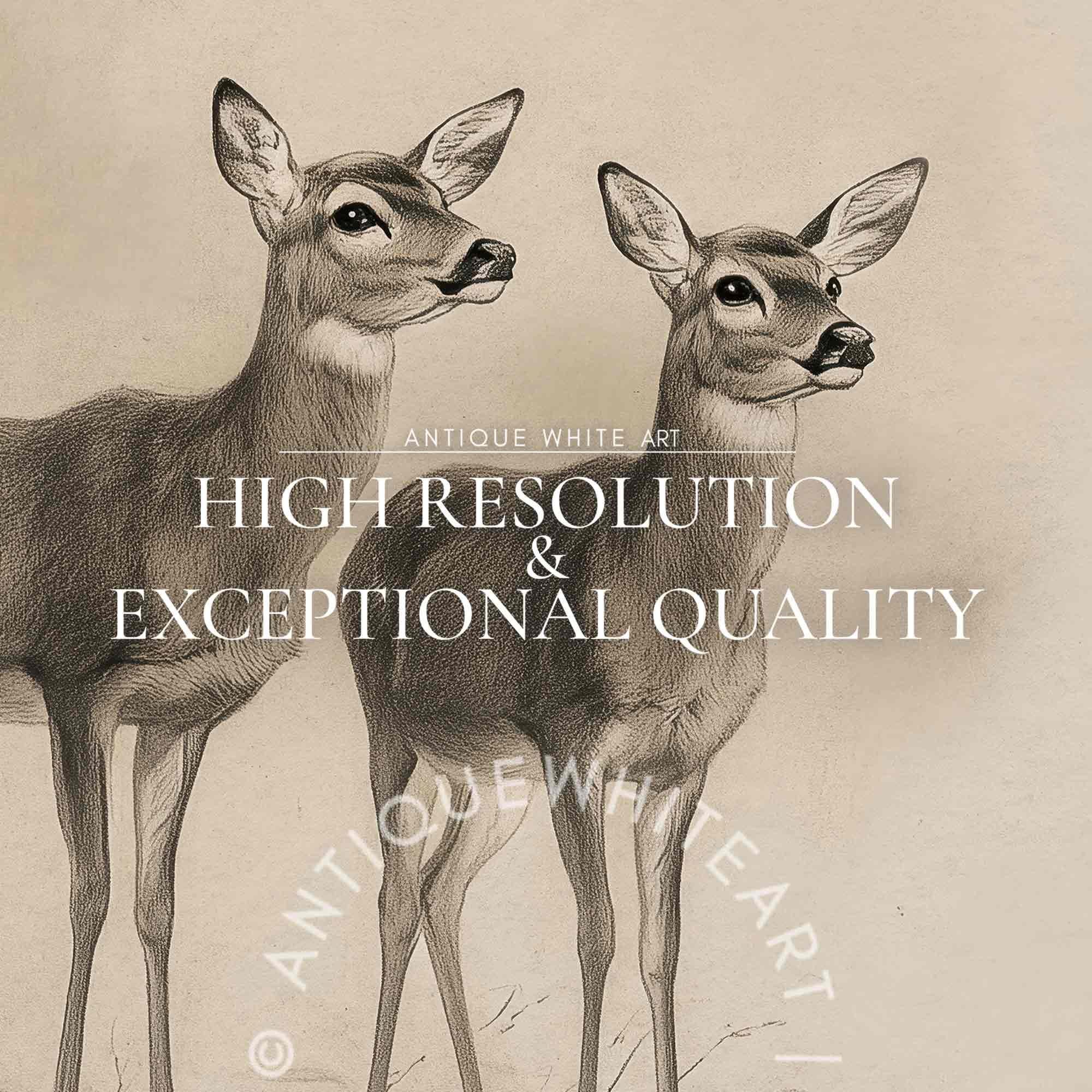 Three Deers in Winter