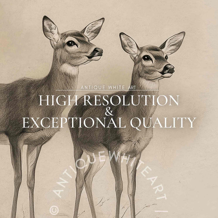 Christmas Print Deer Wall Art Rustic Reindeer Drawing Farmhouse Winter W138