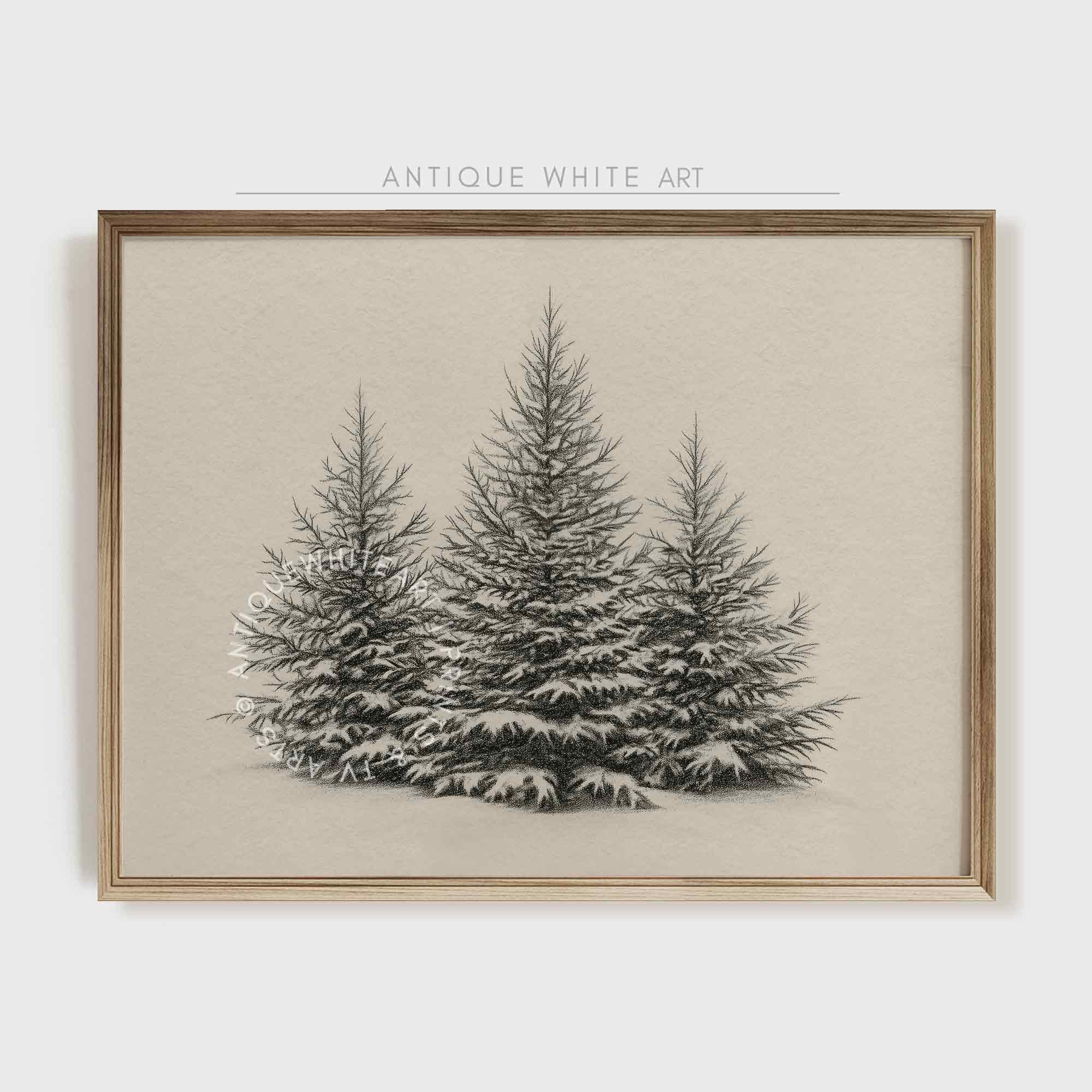 Forest Sketch Rustic Print Pine Trees Drawing Winter Art Country Christmas Decor W148 Wall