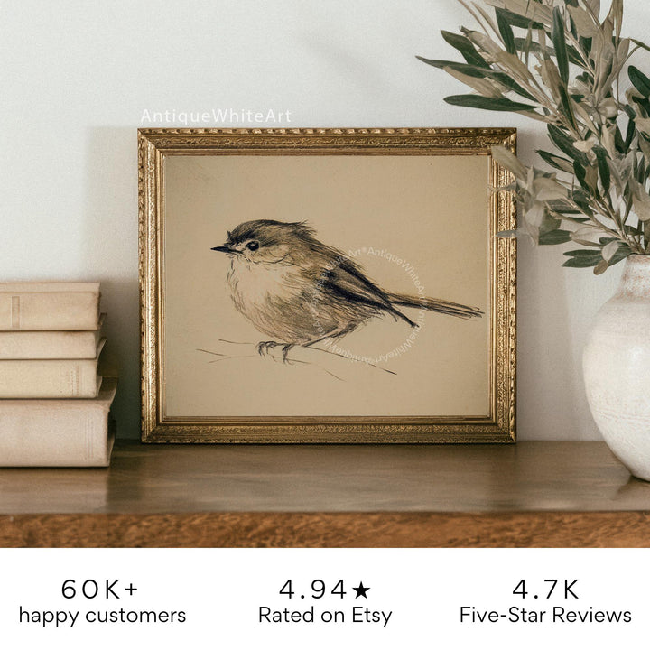 Wall Art Neutral Bird Sketch Vintage Style Nursery Print Animal Illustration Beige Gallery A468