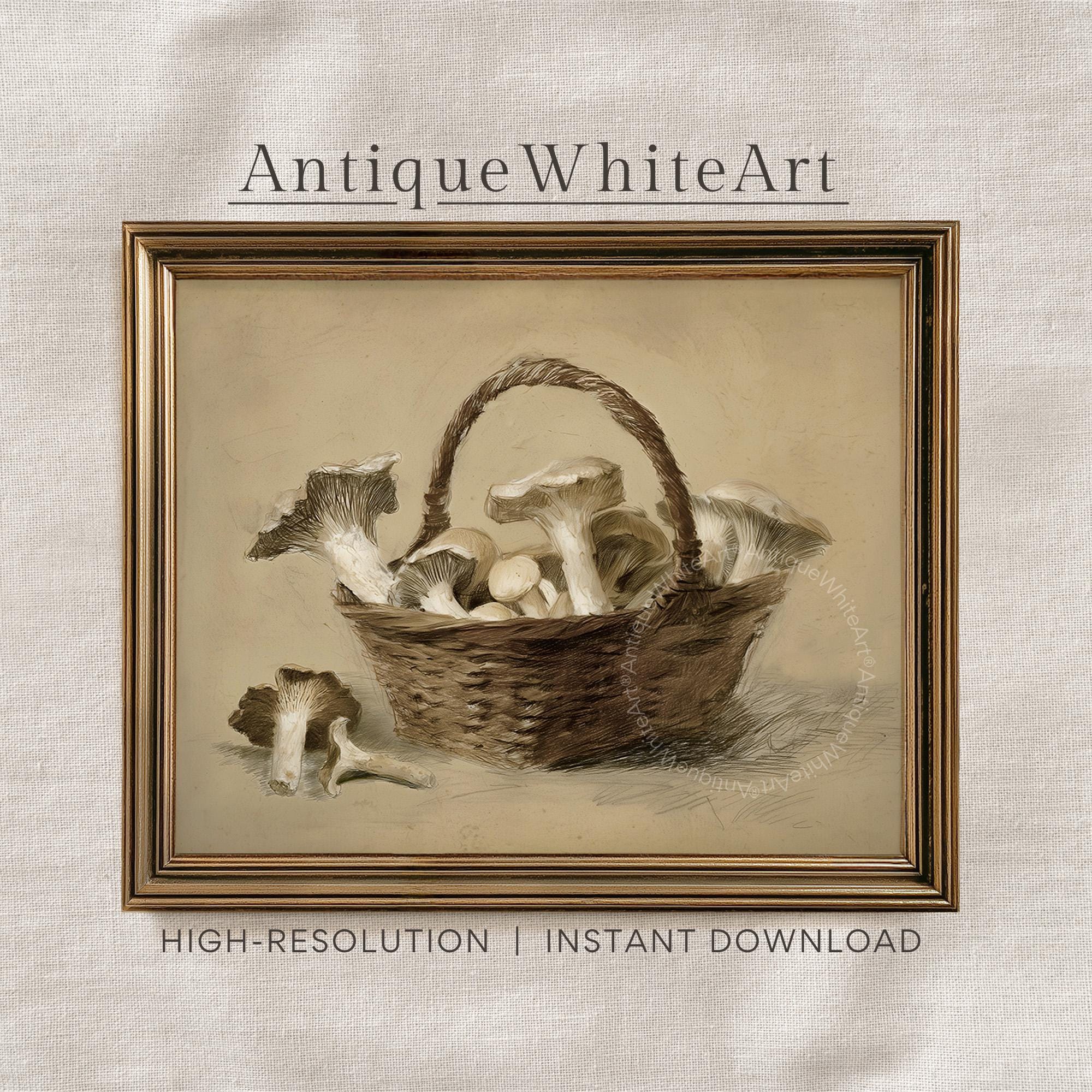 Mushroom Vintage Style Print Mushrooms Drawing Farmhouse Kitchen Wall Art Botanical Woodland A477