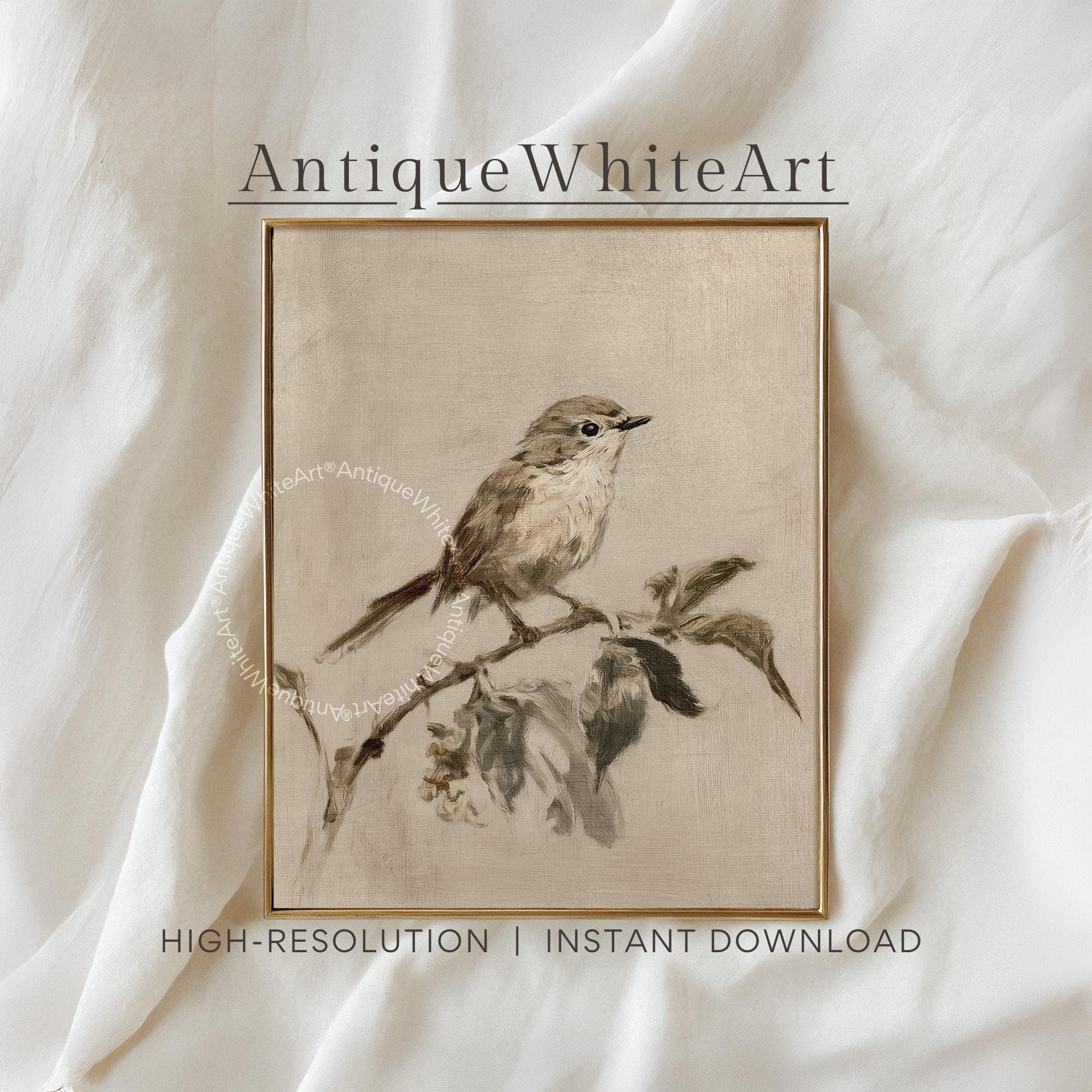 Bird Drawing Wall Art Vintage Style Nursery Print Animal Illustration Neutral Beige Gallery A484