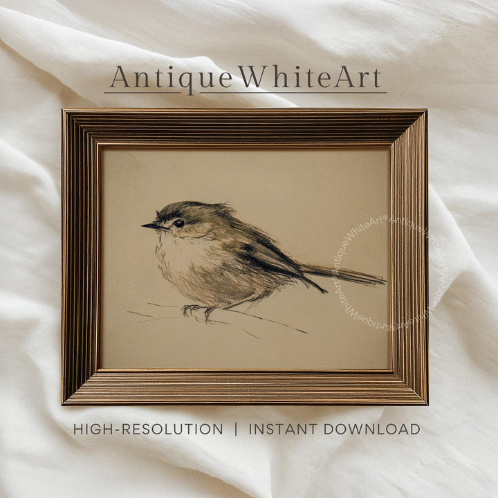 Wall Art Neutral Bird Sketch Vintage Style Nursery Print Animal Illustration Beige Gallery A468