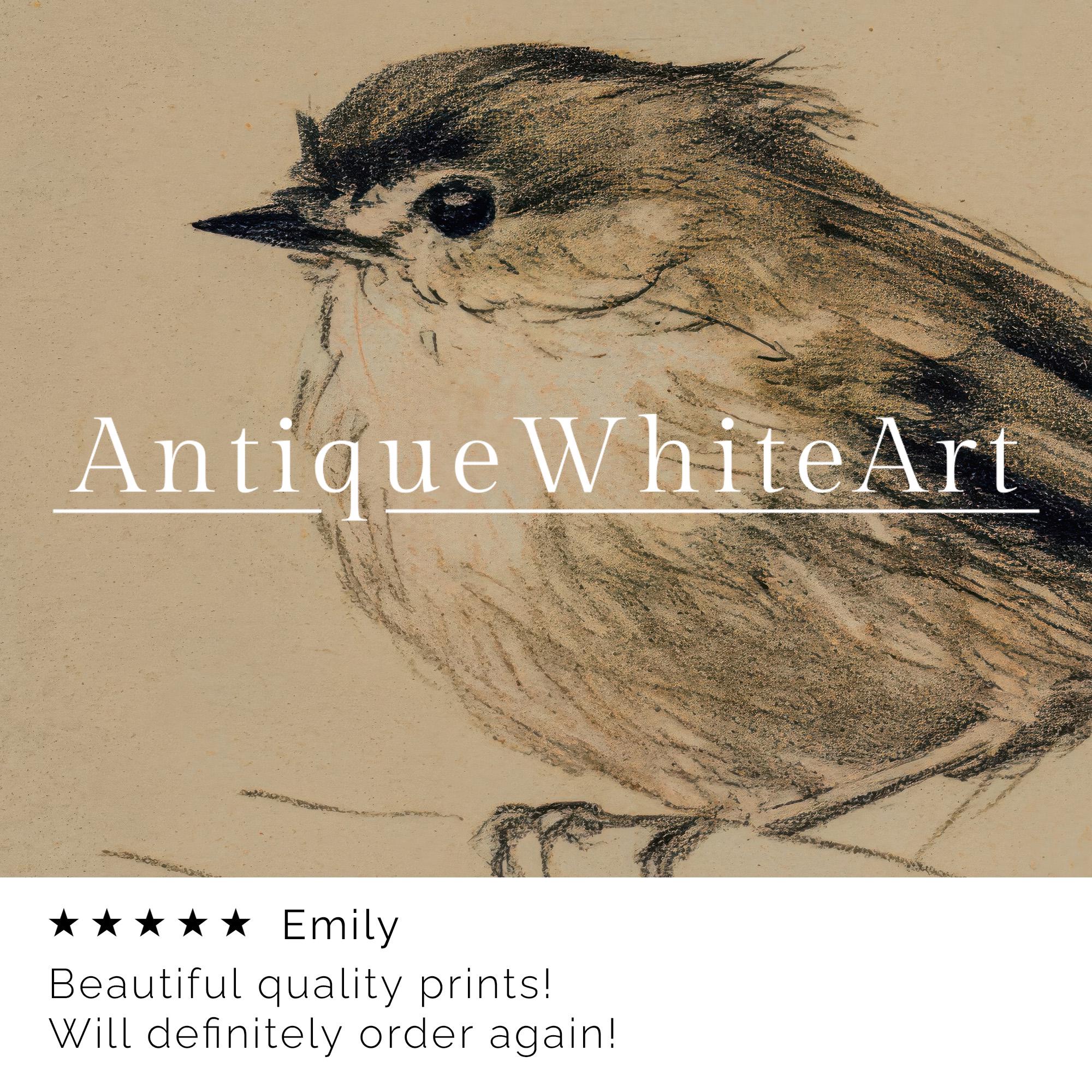 Wall Art Neutral Bird Sketch Vintage Style Nursery Print Animal Illustration Beige Gallery A468