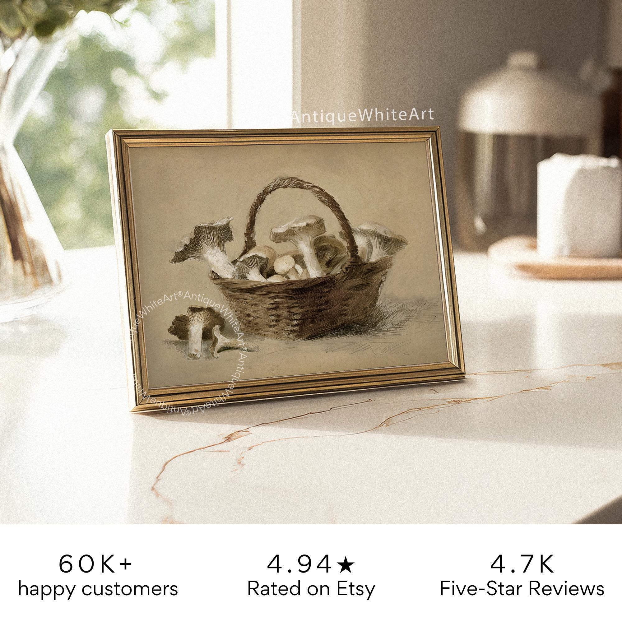 Mushroom Vintage Style Print Mushrooms Drawing Farmhouse Kitchen Wall Art Botanical Woodland A477