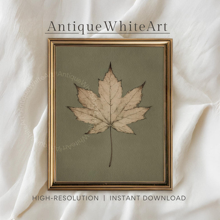 Maple Leaf Print Vintage Style Autumn Wall Art Neutral Botanical Illustration Fall Nature Decor AntiqueWhiteArt A575