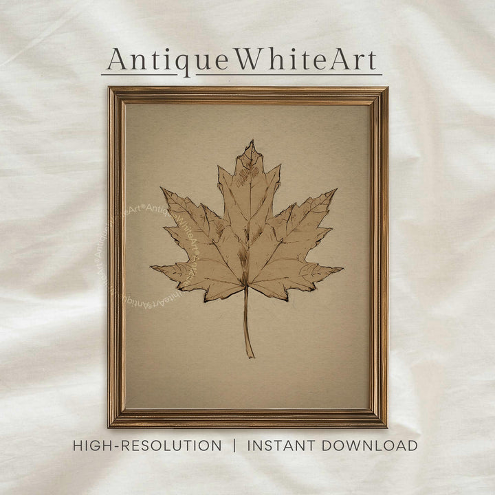 Autumn Maple Leaf Print Vintage Style Fall Wall Art Neutral Rustic Halloween Decor Cottagecore Prints A483