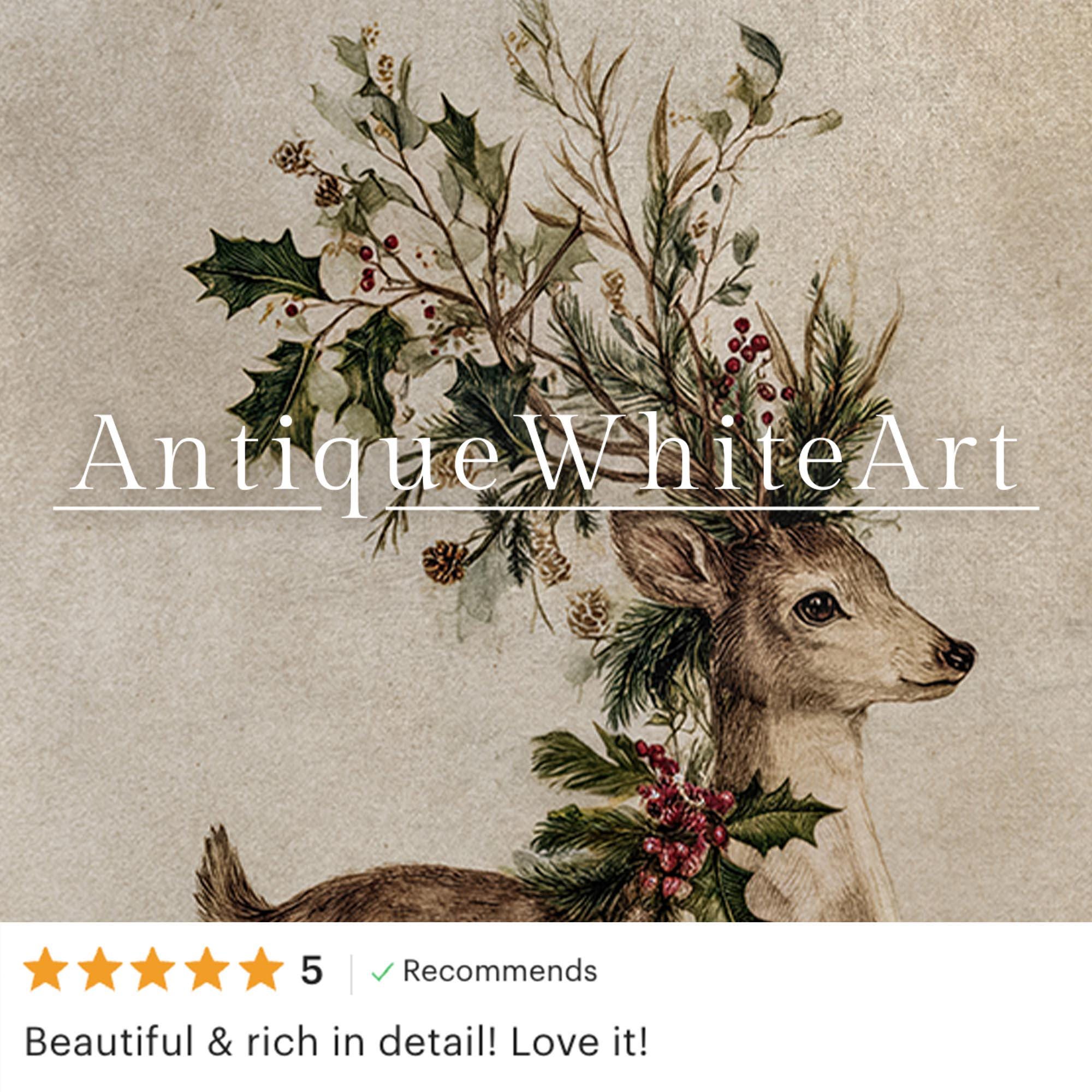 Vintage Style Christmas Deer Print: Botanical Holiday Wall Art ( ) W183 Print
