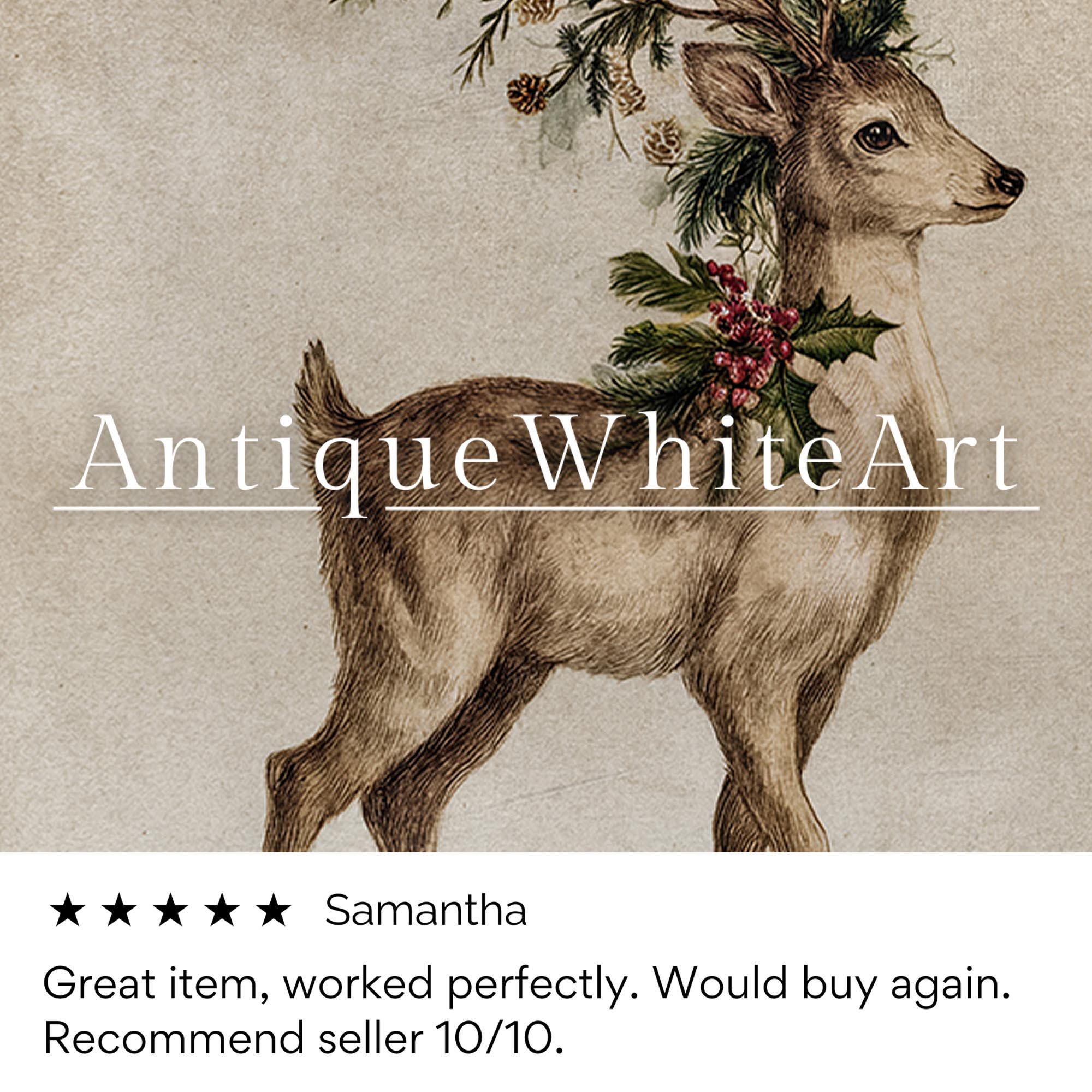 Vintage Style Christmas Deer Print: Botanical Holiday Wall Art ( ) W183 Print