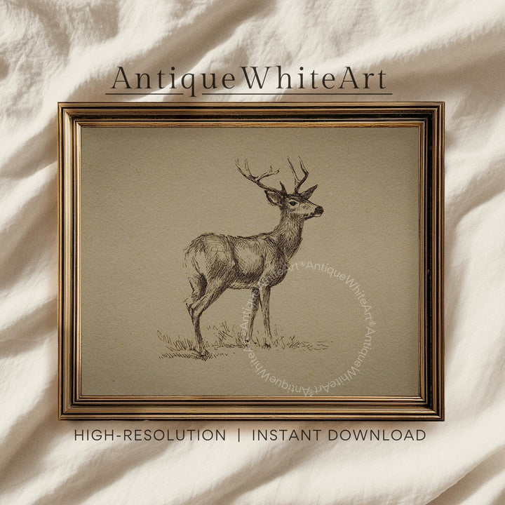 Vintage Style Deer Drawing: Farmhouse Christmas Wall Art Rustic Home Decor ( ) W212 Print